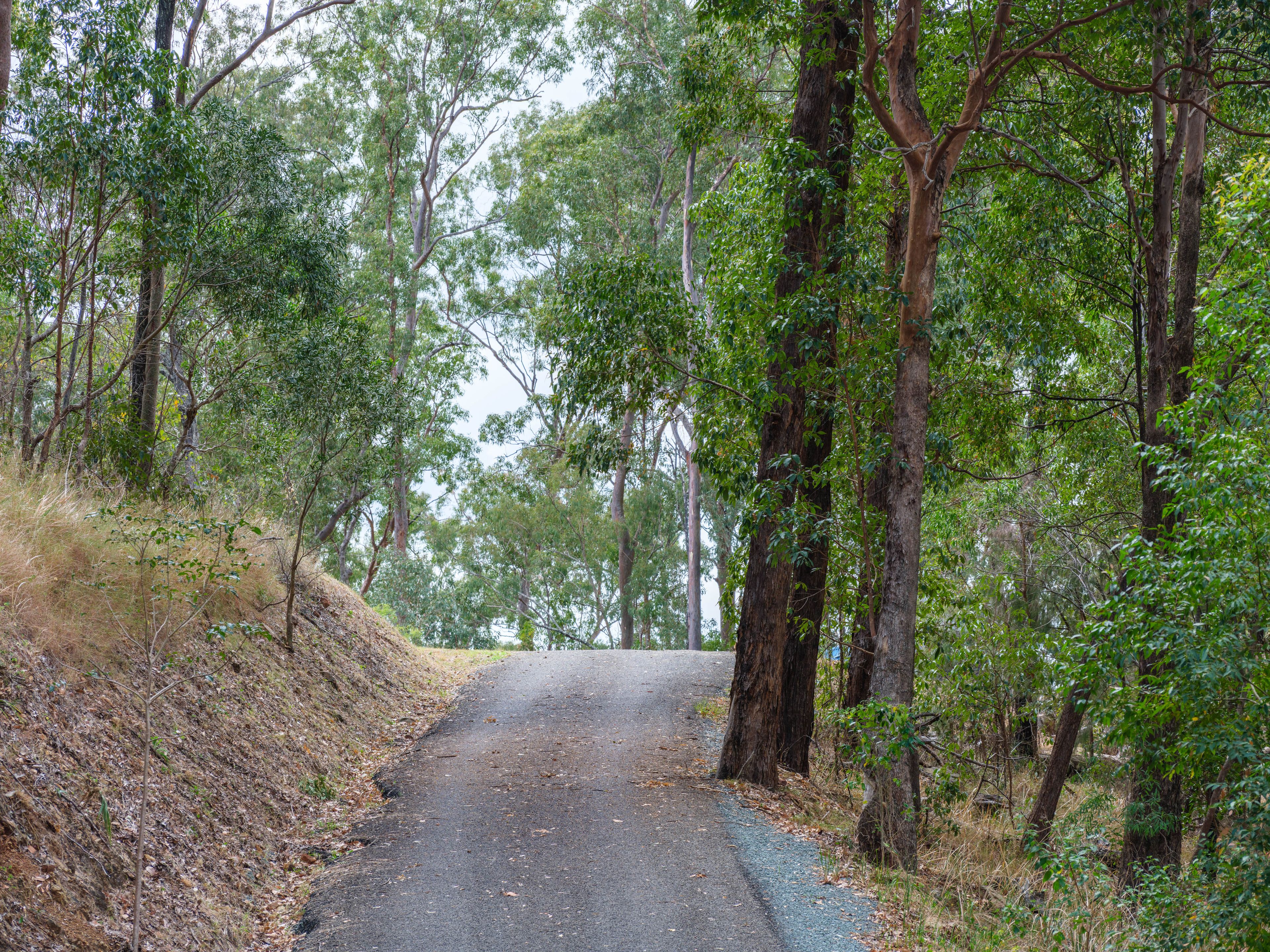 9.98 Hectares of Opportunity — photo 11 of 14