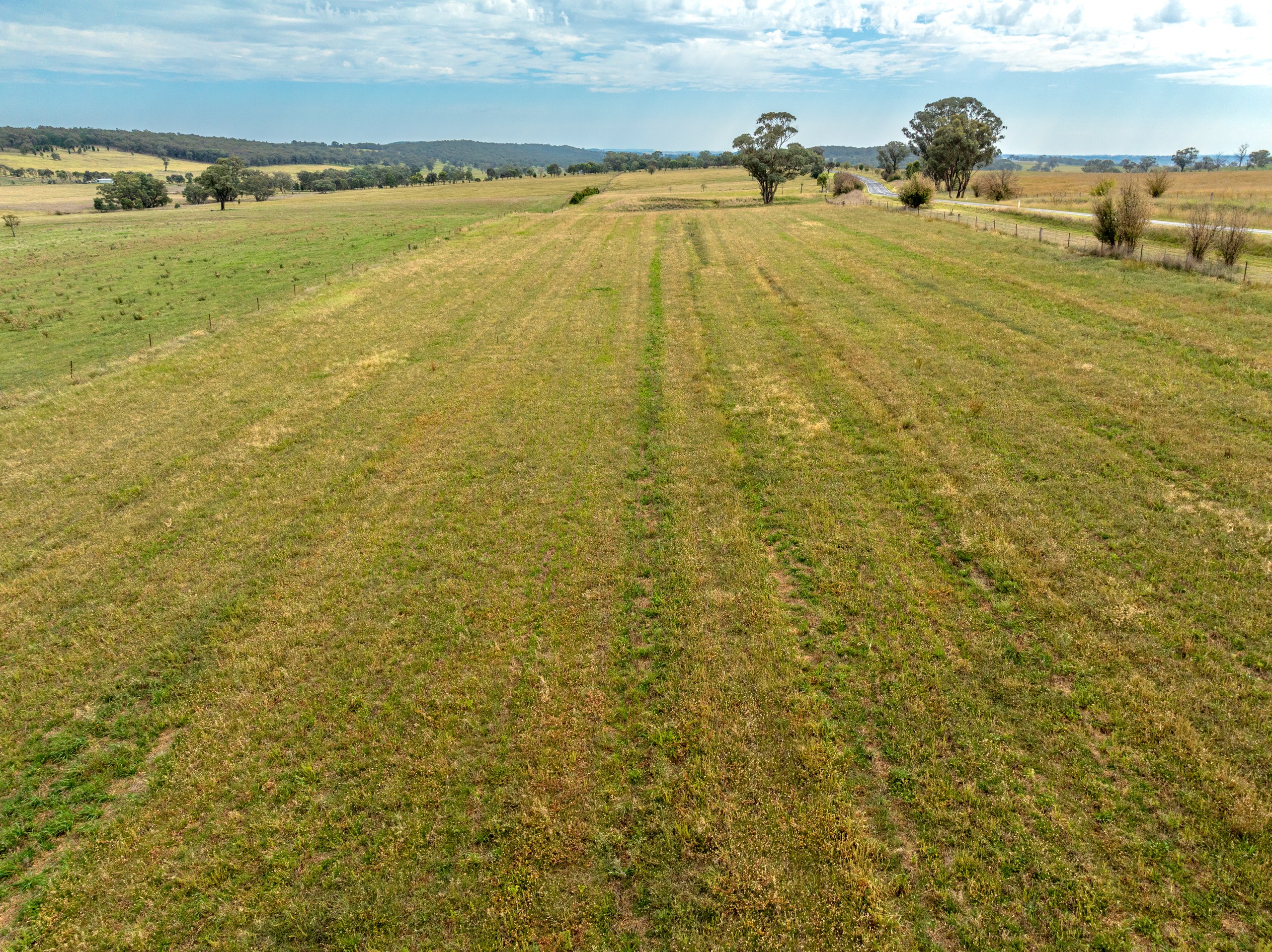 516 Peabody Road, Molong, NSW 2866