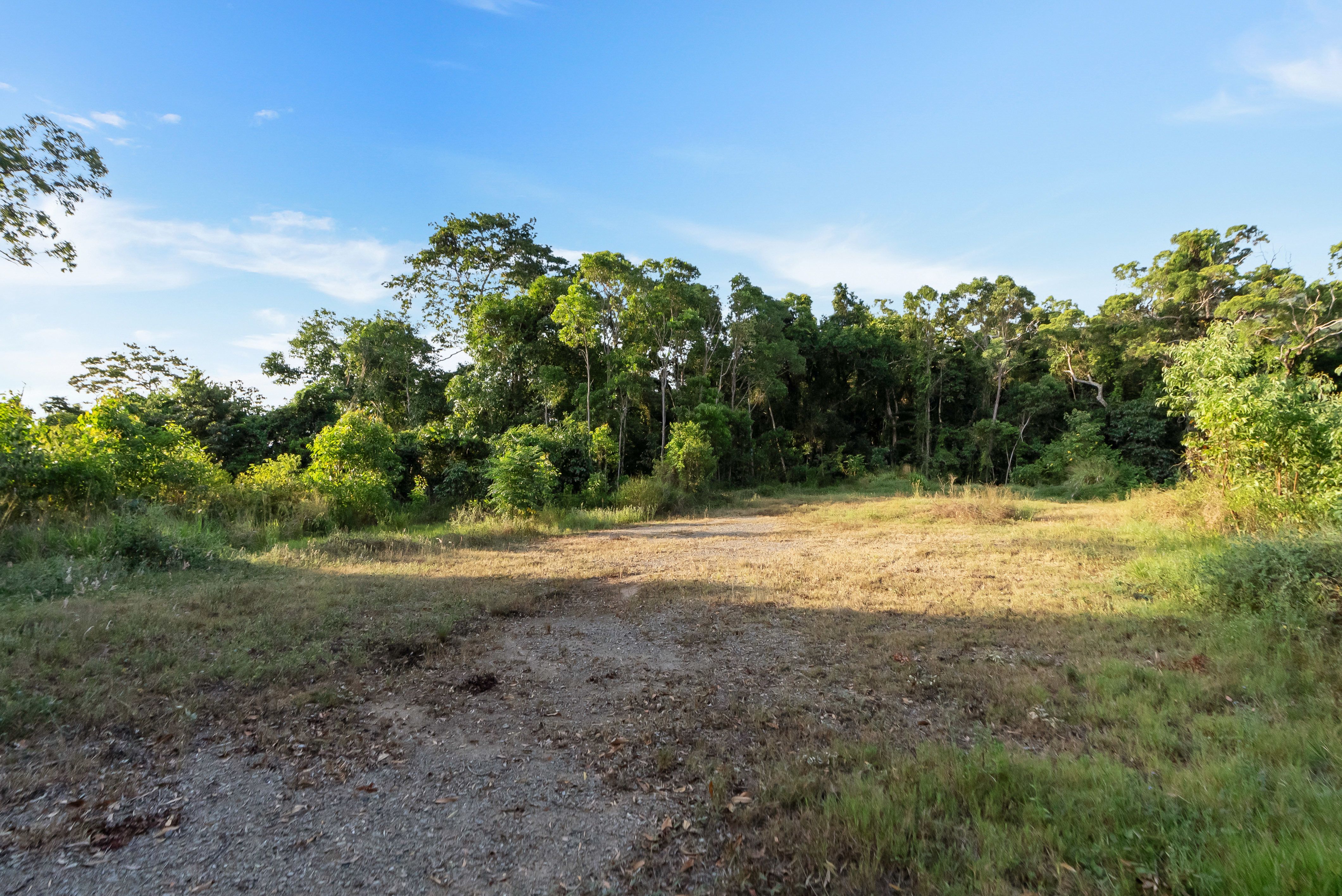 Create Your Idyllic Lifestyle to Include Future Potential Income on 342 acres — photo 28 of 30