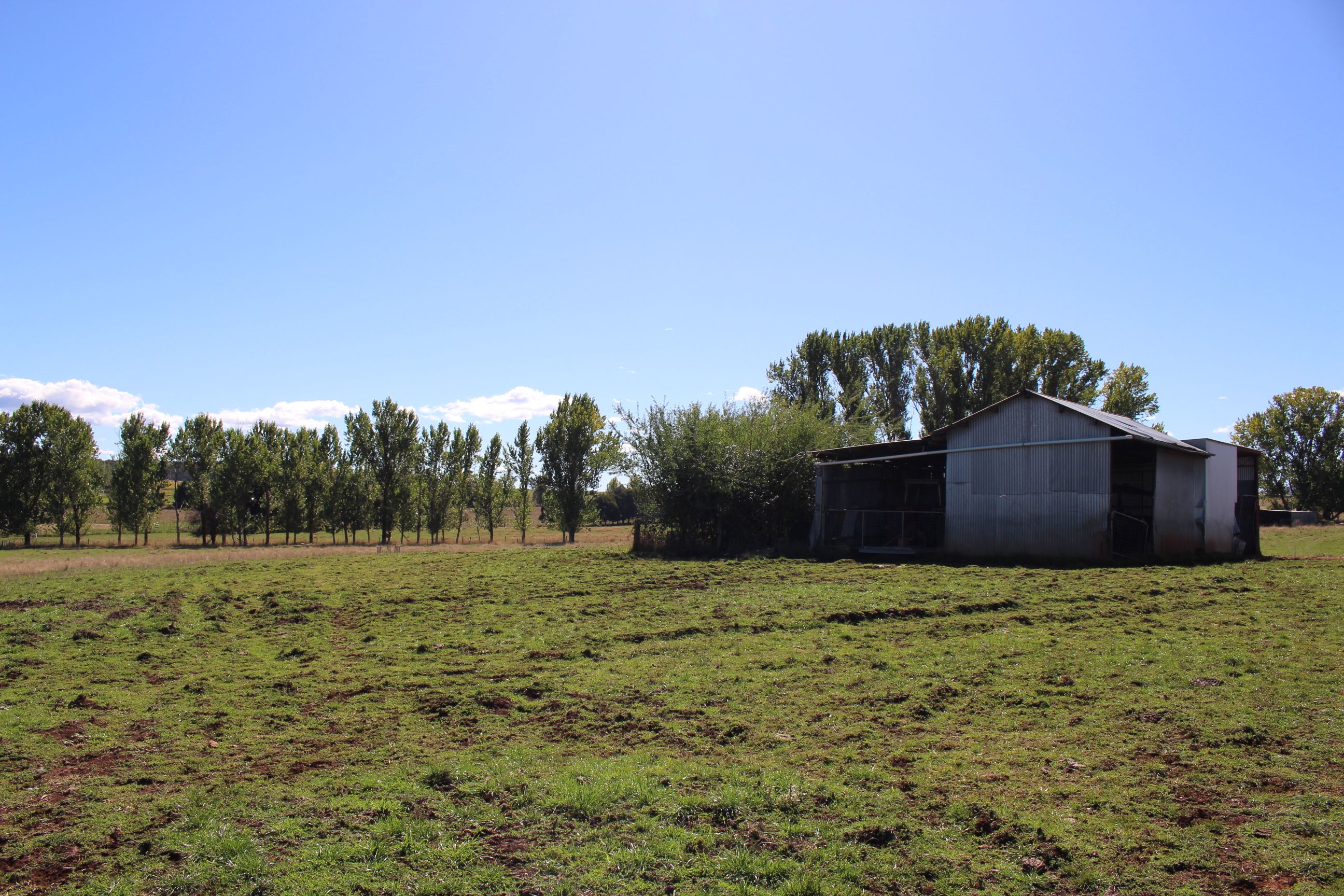 Lot 1/138 Courabyra Road, Tumbarumba, NSW 2653 Sold Rural Livestock