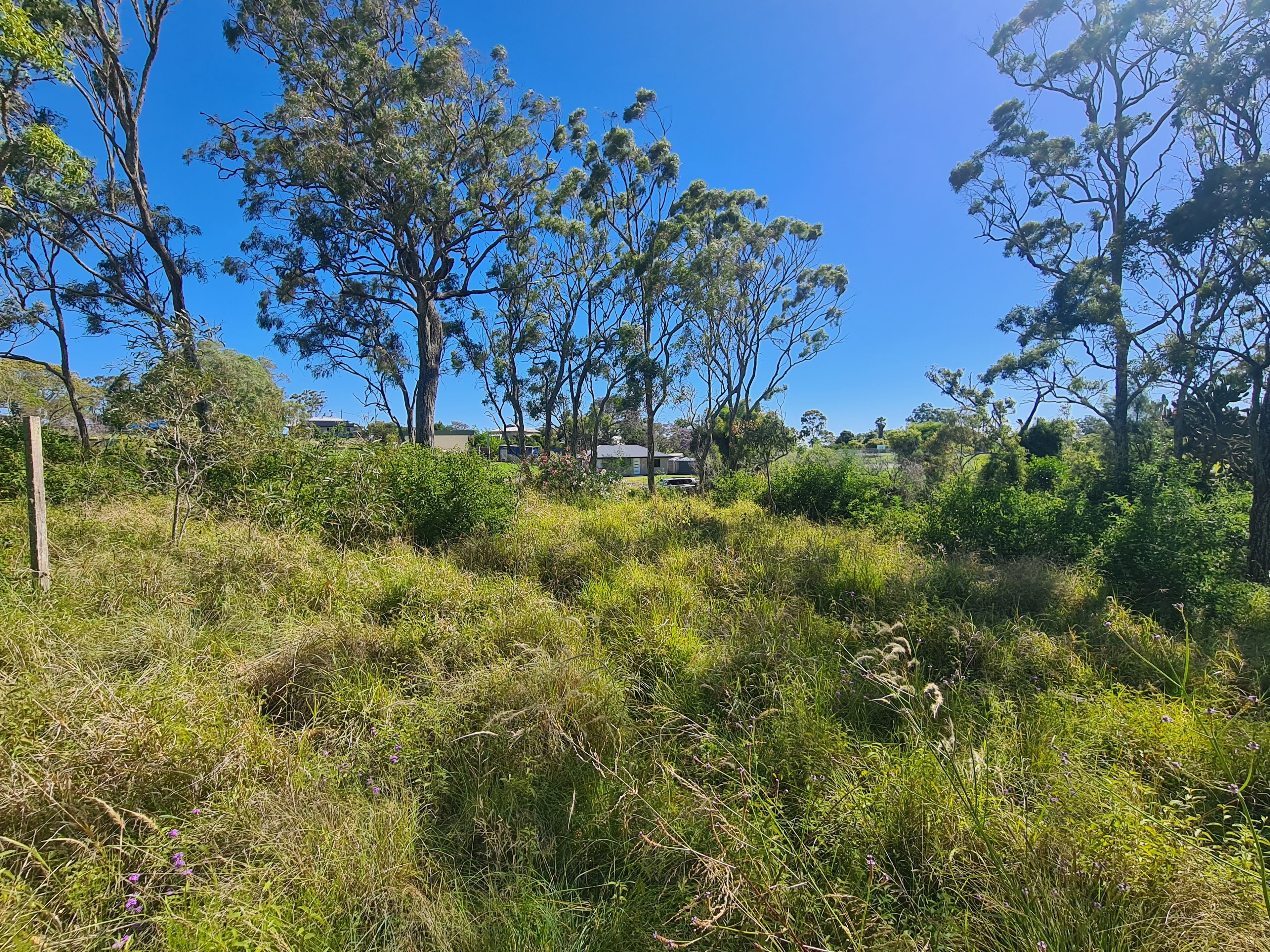 Lot 16 Garrett Street, Haden, QLD 4353 Sold Land Ray White Rural