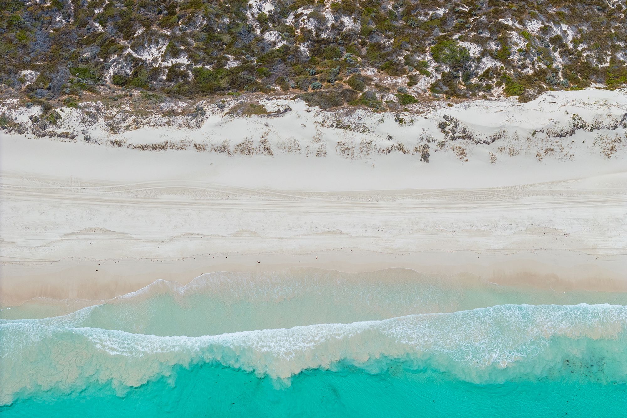 6 Arcus Close, Lancelin, WA 6044 Land for Sale Ray White Lancelin