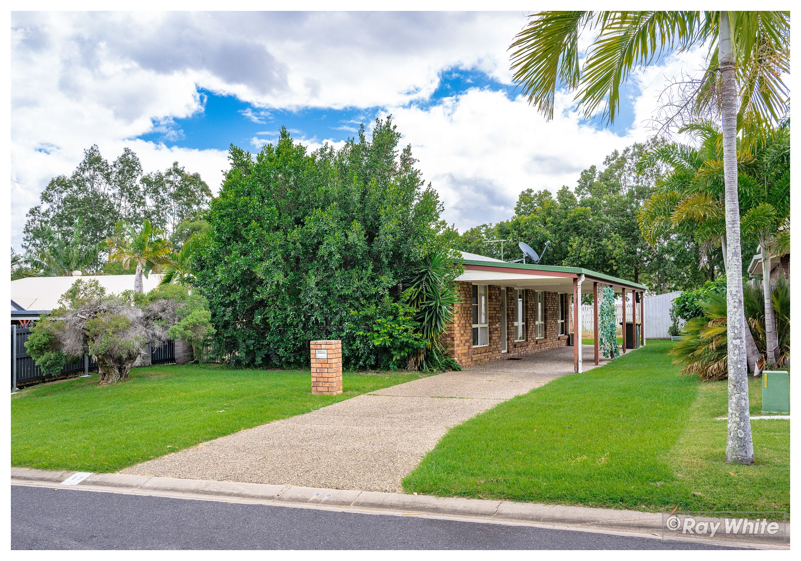 17 Protea Avenue, Norman Gardens QLD 4701