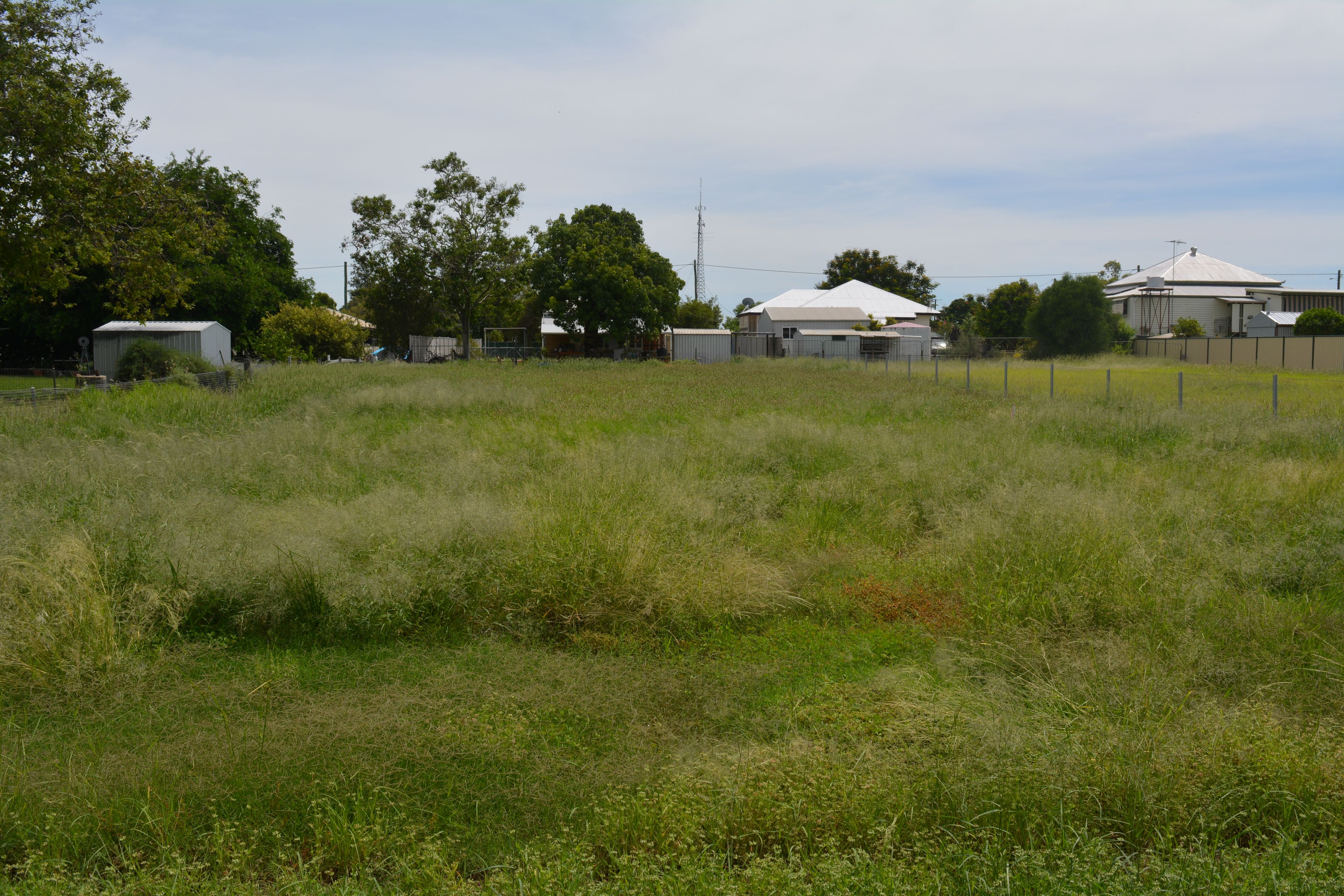 1 Petunia Street, Blackall, QLD 4472 Land for Sale Ray White Blackall