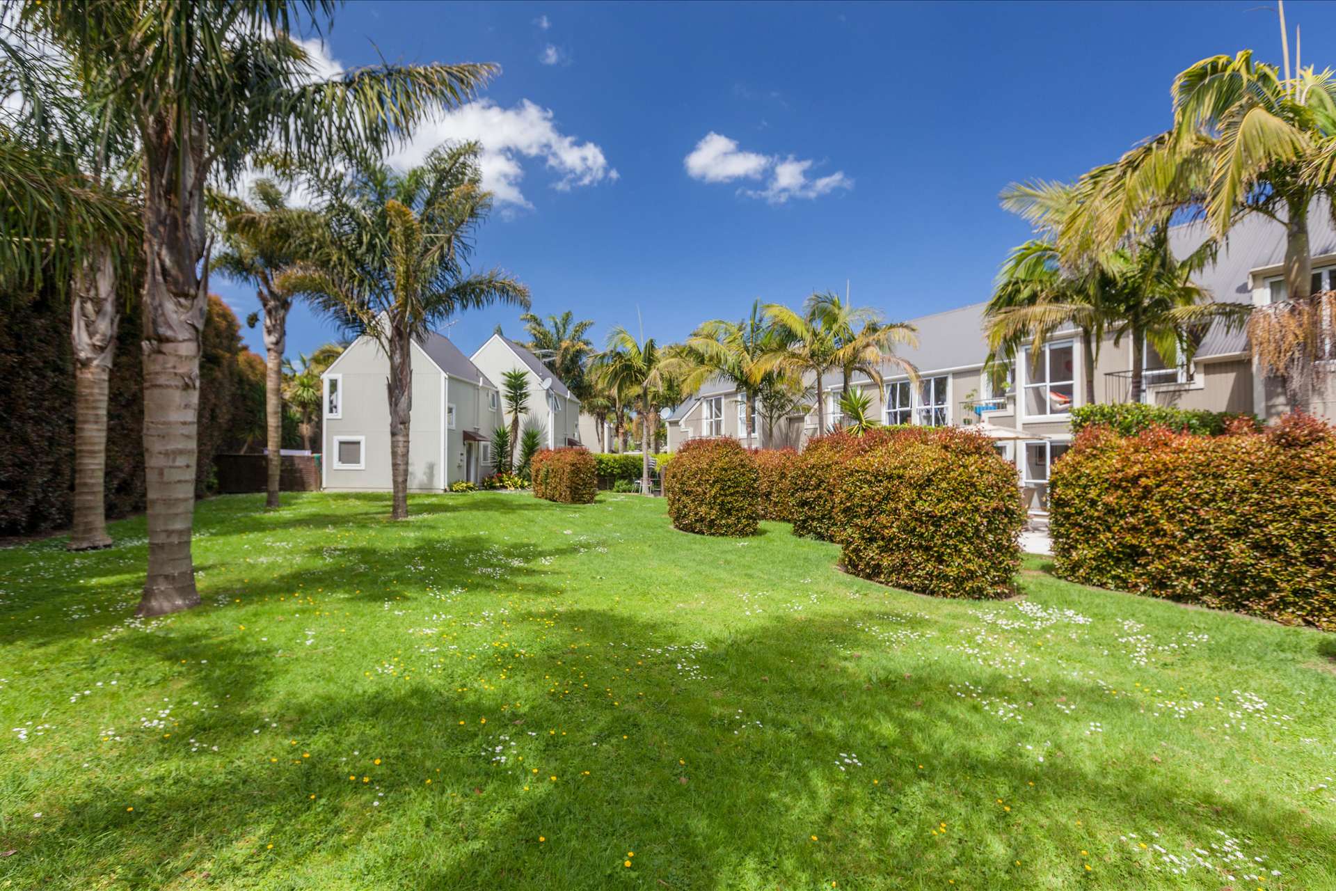 14/33 School Road, Morningside, Auckland City Real Estate Ray White