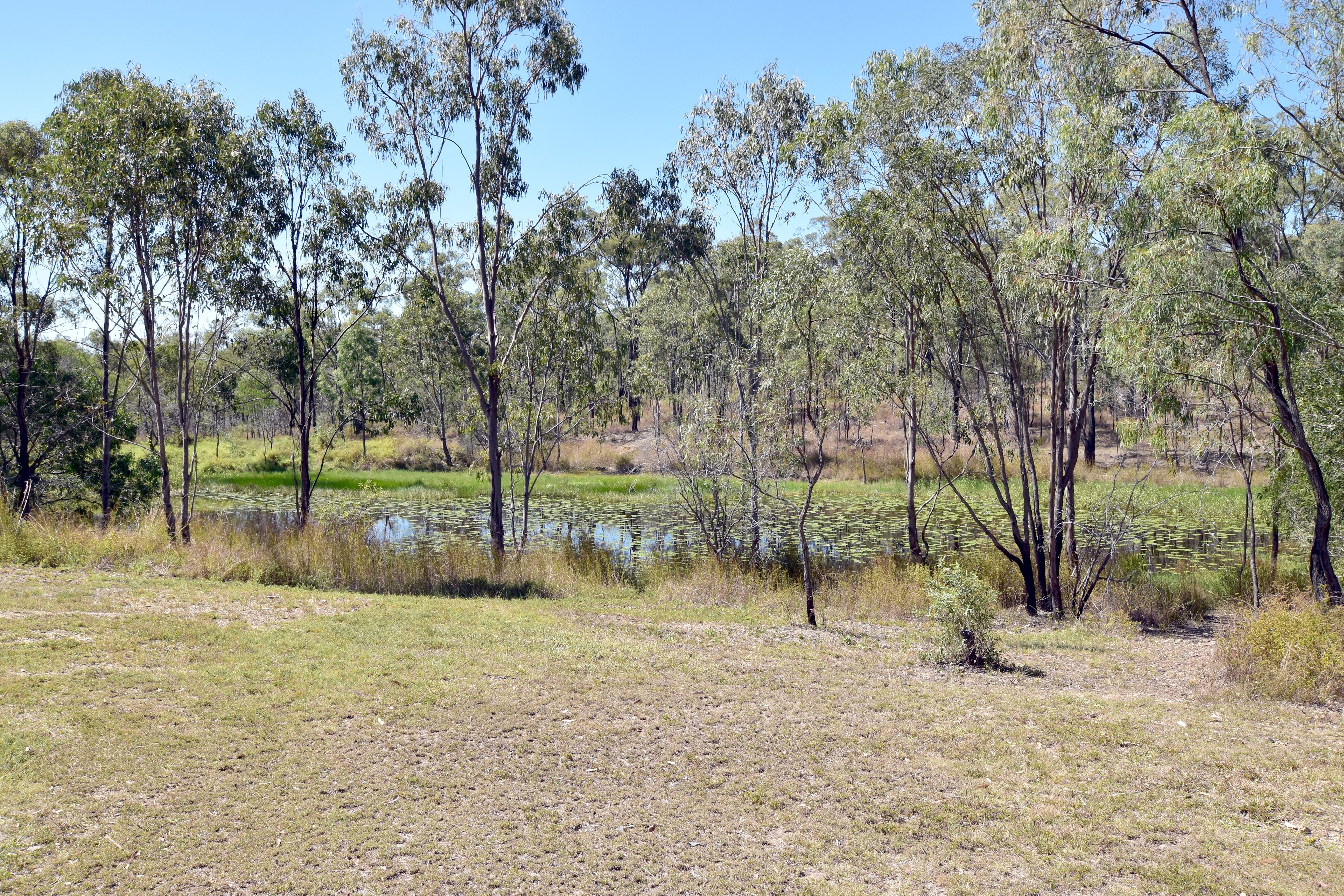 939 Glenlyon Road, O'Connell, QLD 4680