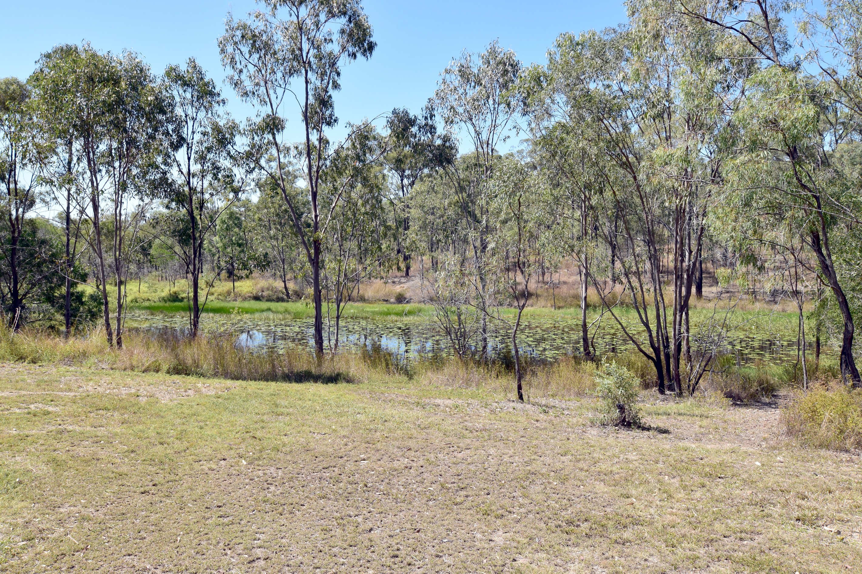 939 Glenlyon Road, O'Connell, QLD 4680