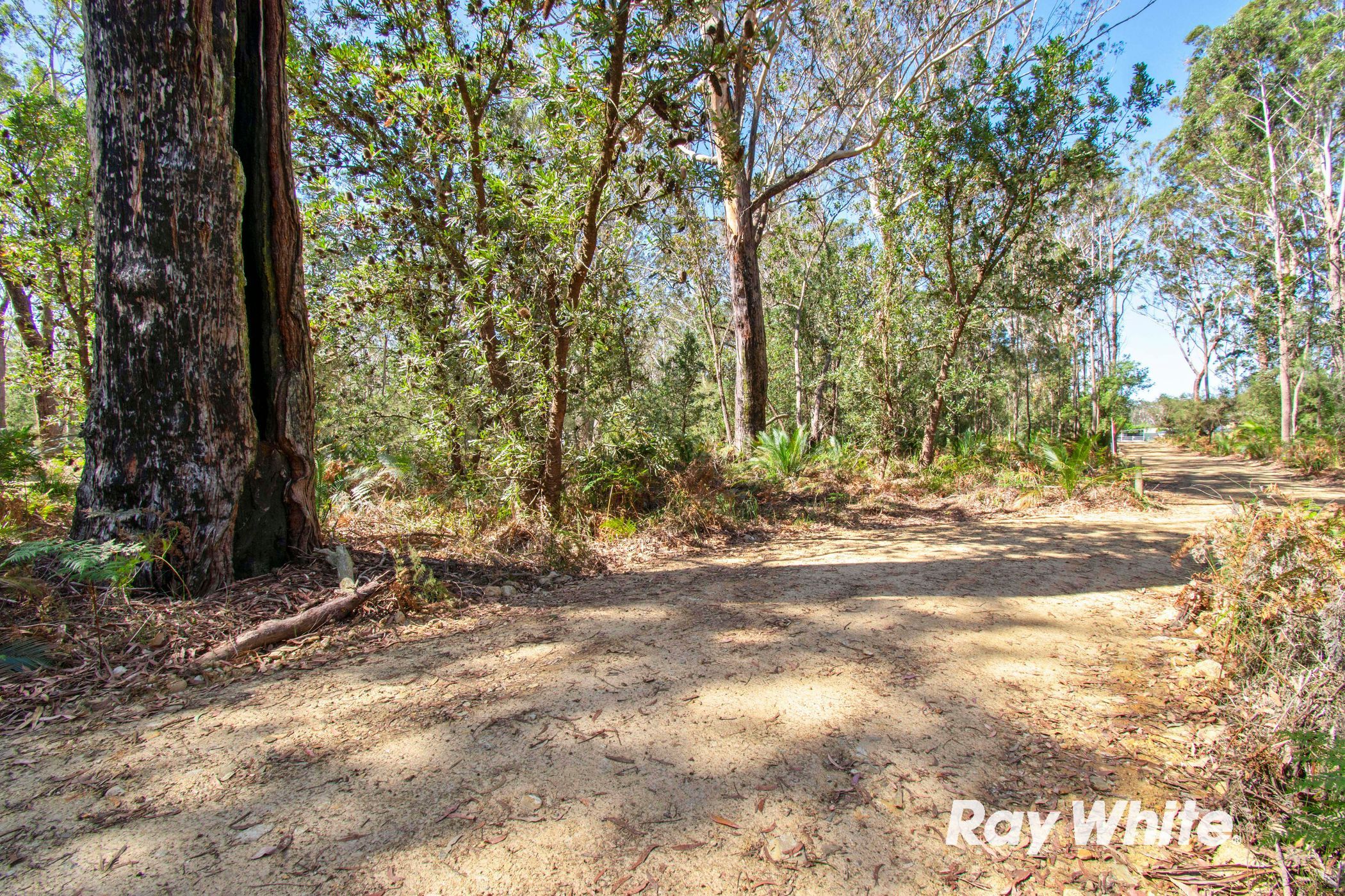 Lot 2 Donnelly Drive, Moruya, NSW 2537