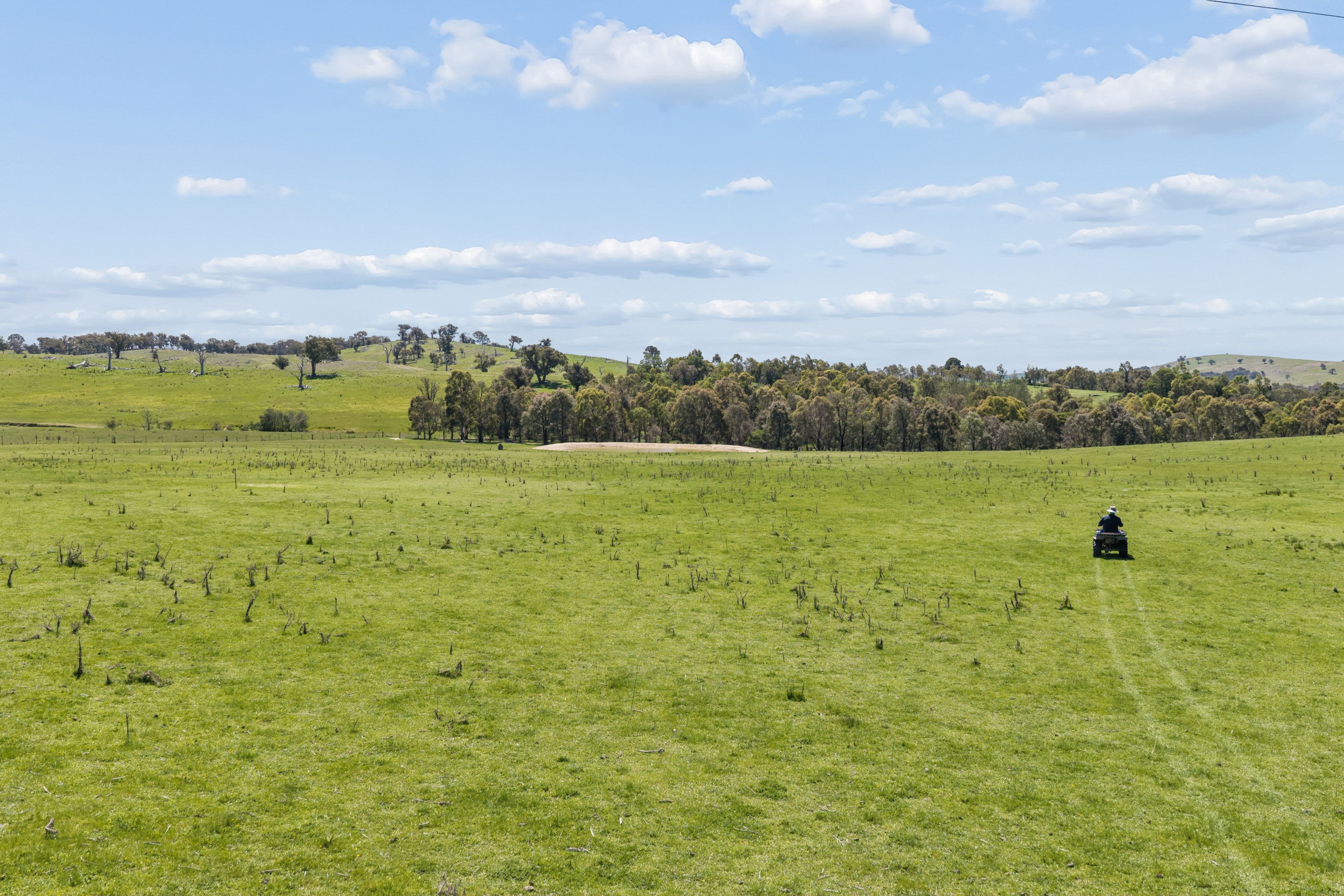 "Banjo's", 28238 Hume Highway — photo 19 of 26