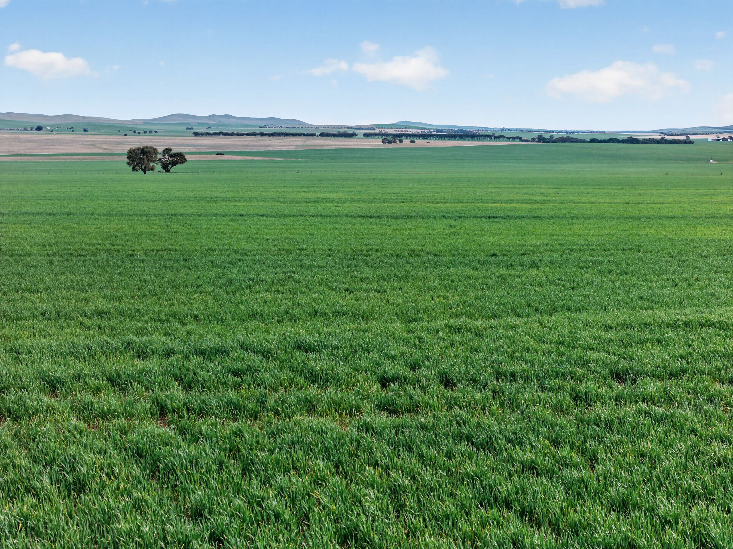 'Glen's' Cattle Station Road, Mount Bryan, SA 5418