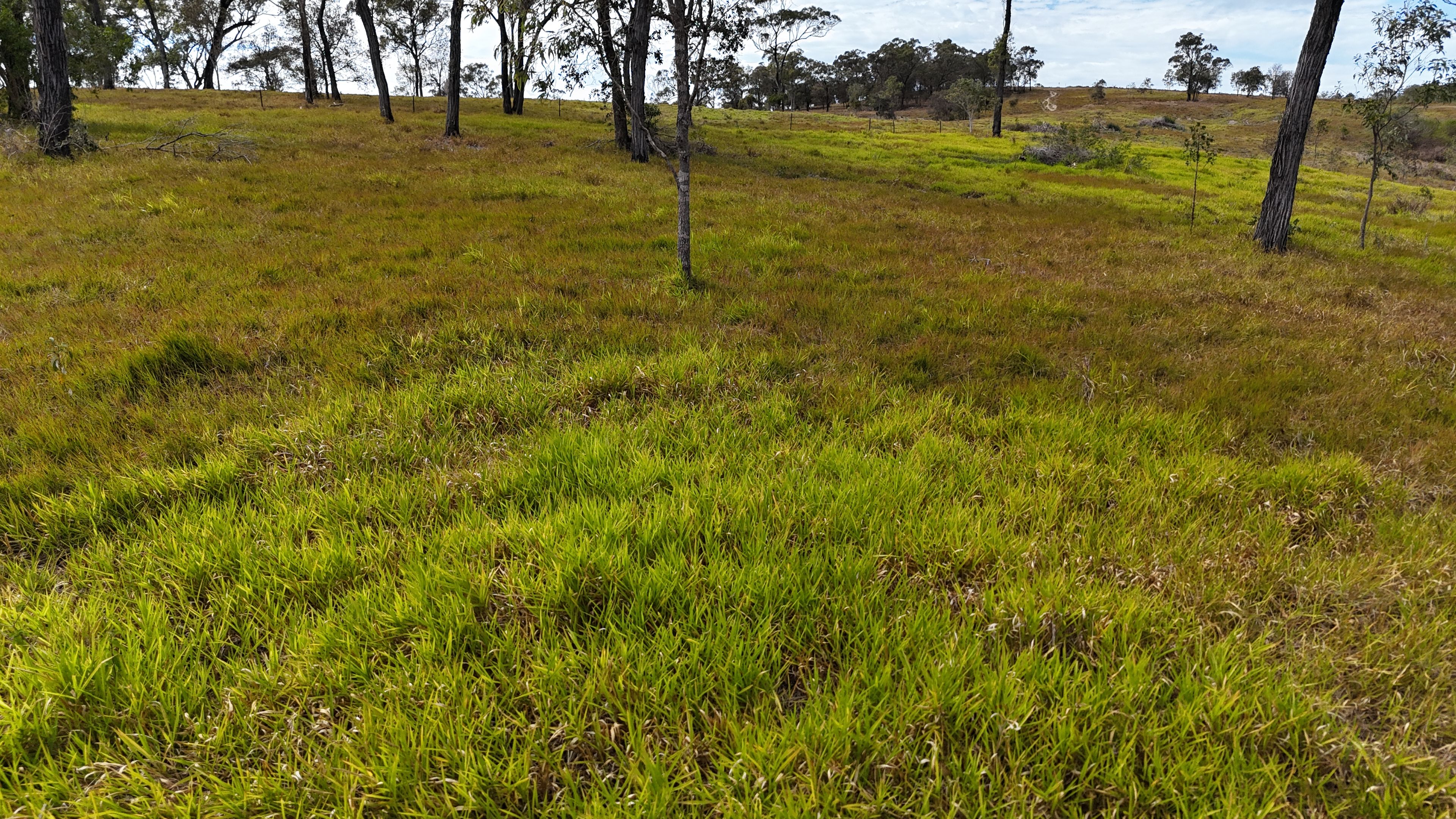 Lot 3 Marion Settlement Road, Ilbilbie, QLD 4738