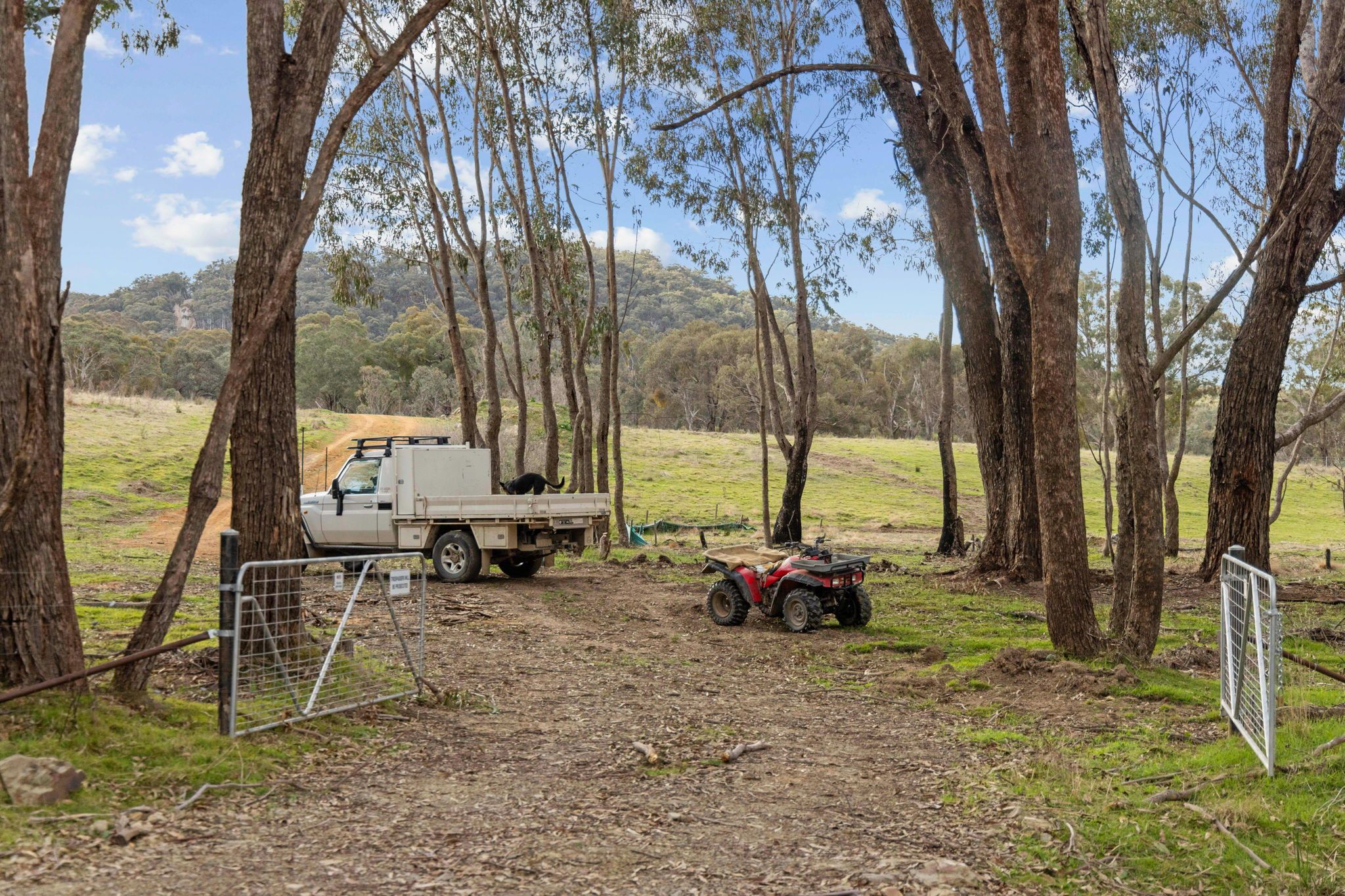 343 Greenwood Road, Murrumbateman, NSW 2582 Sold Acreage/SemiRural