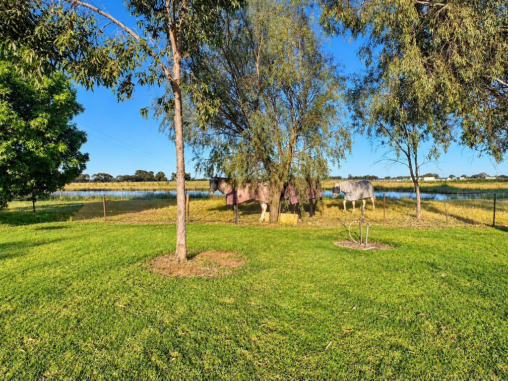 'Jonree' 31 Hogans Lane — photo 13 of 17
