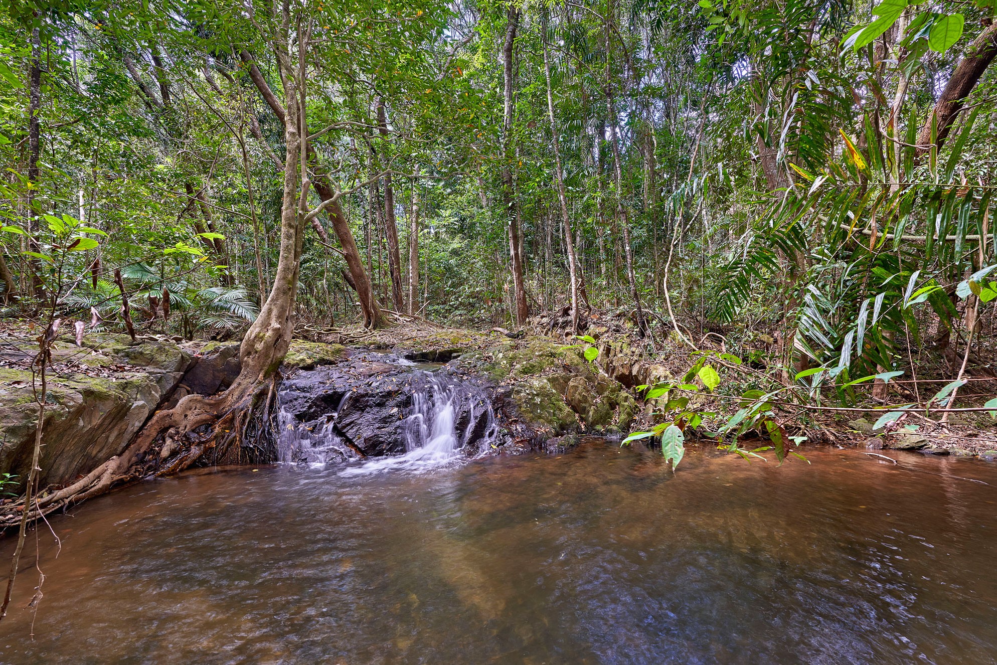 292 Austin Road, Kuranda, QLD 4881