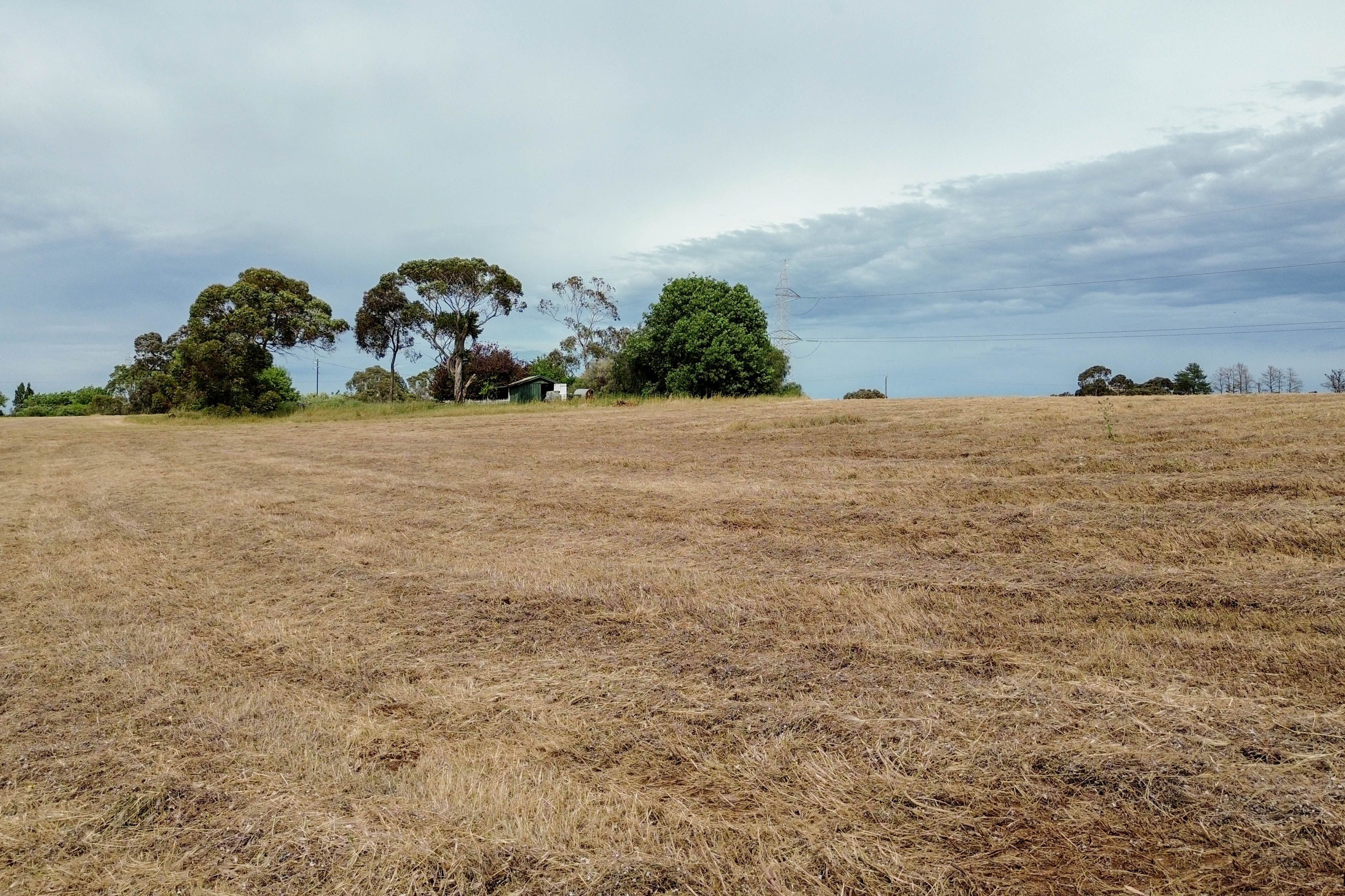 883 Black Top Road — photo 14 of 23