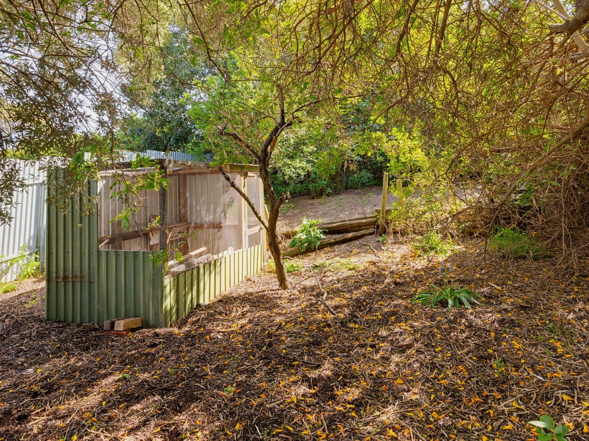 8 Hurley Grove — photo 14 of 16