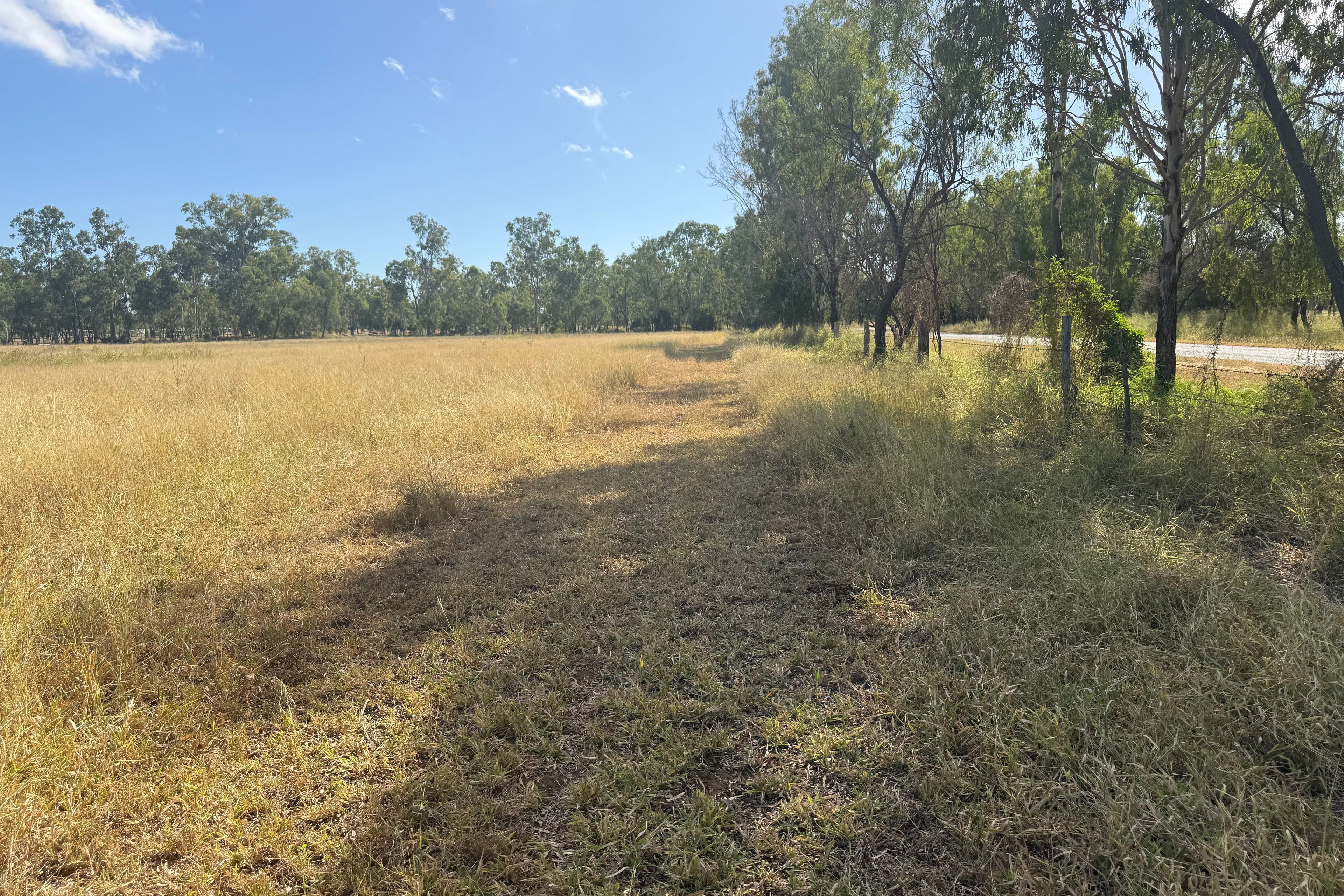 Lot 229 George Street — photo 3 of 13
