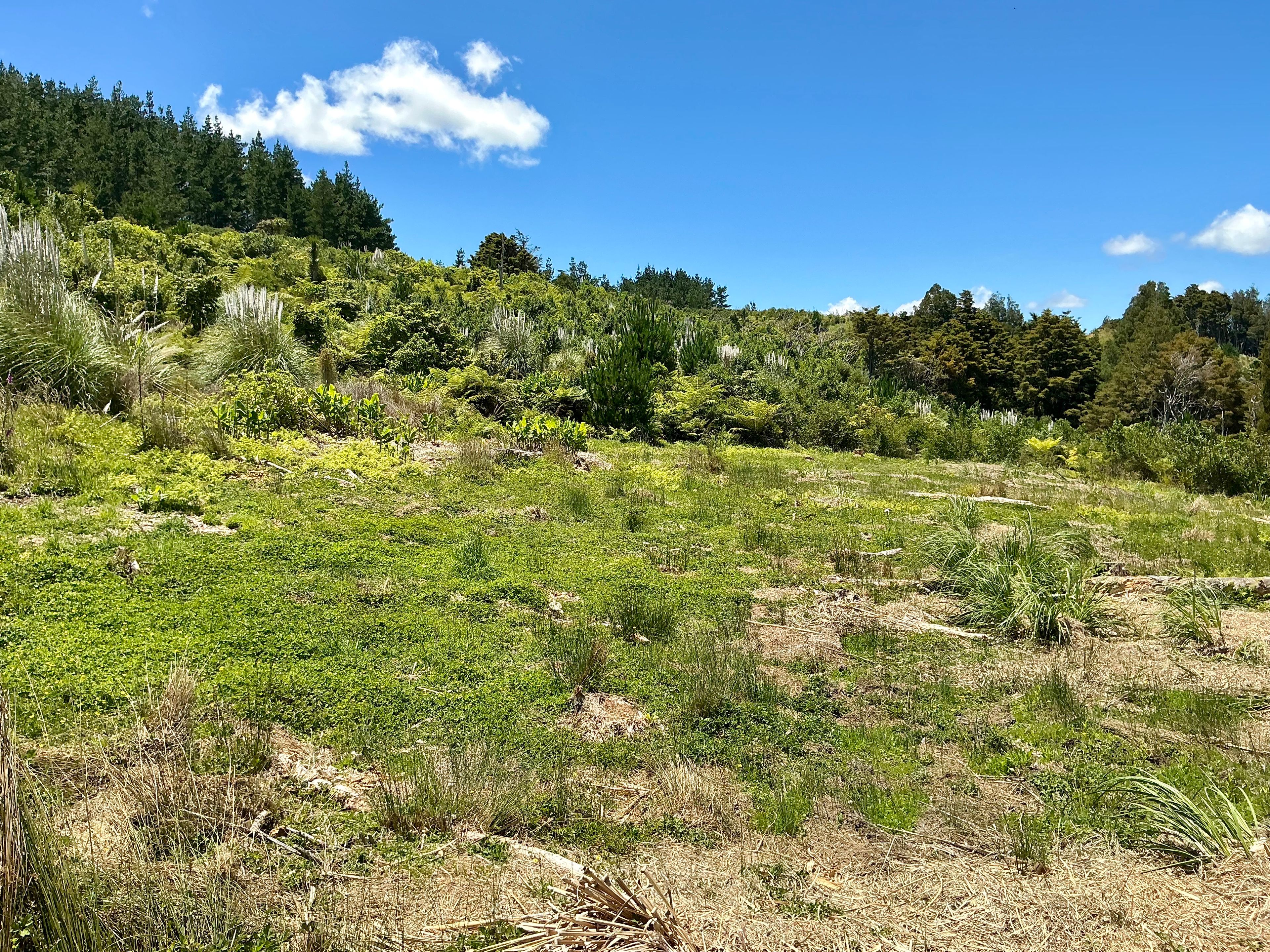 103 Dill Road, Kaipara Flats, Rodney
