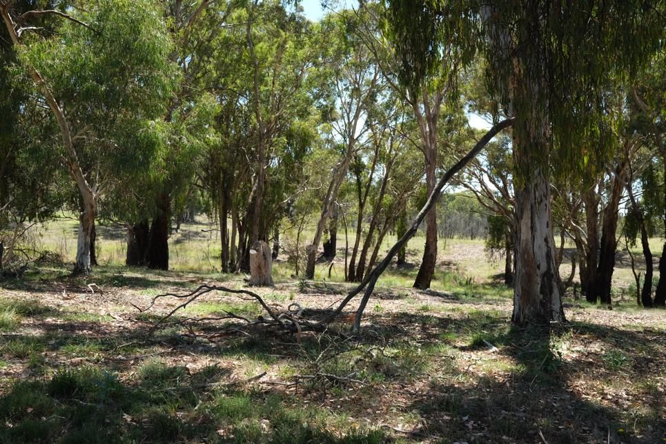 343 Greenwood Road, Murrumbateman, NSW 2582 Sold Acreage/SemiRural