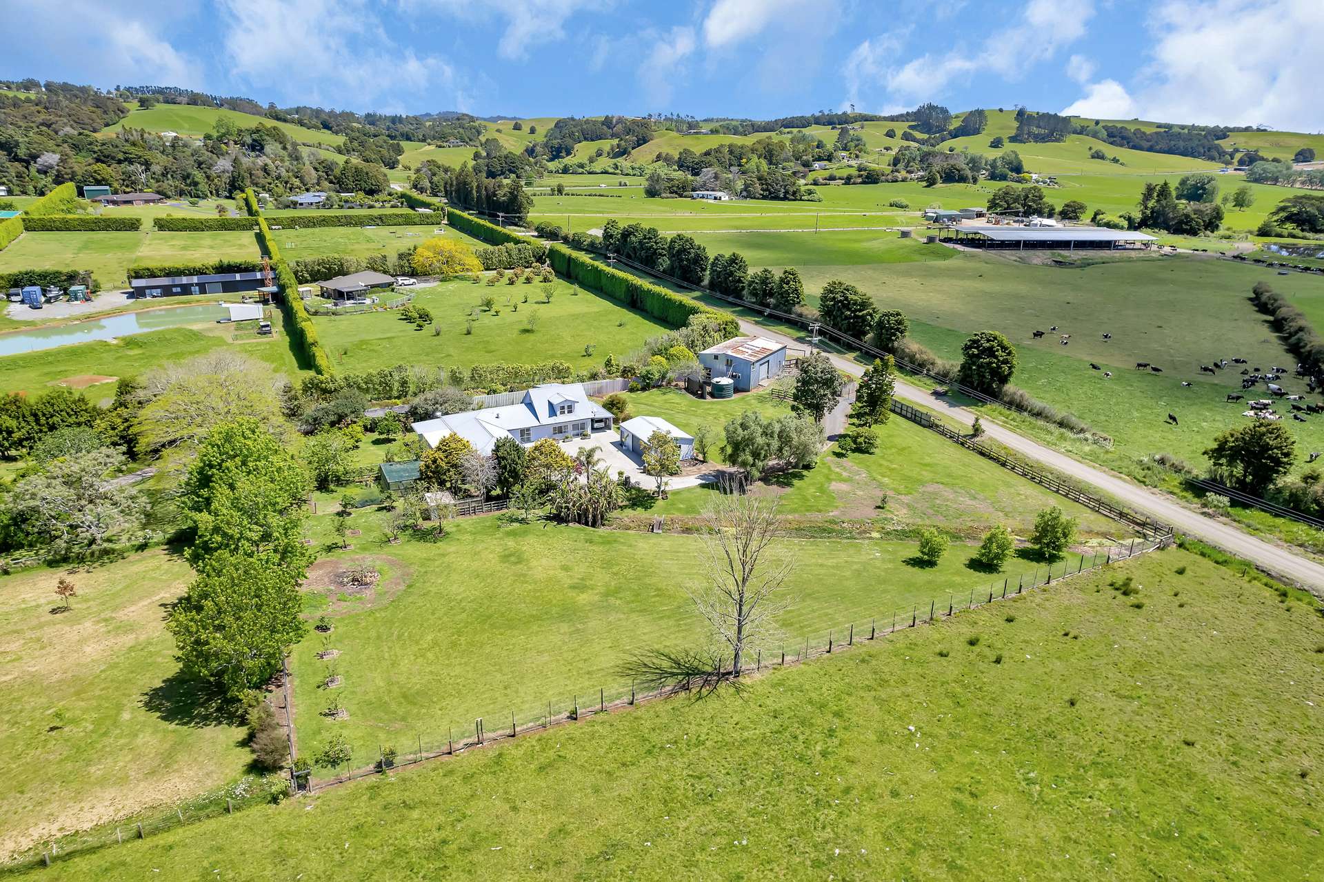 44 Waipapa Road photo 42