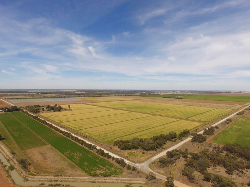 Griffith, NSW Rural Rural Cropping Property Sold