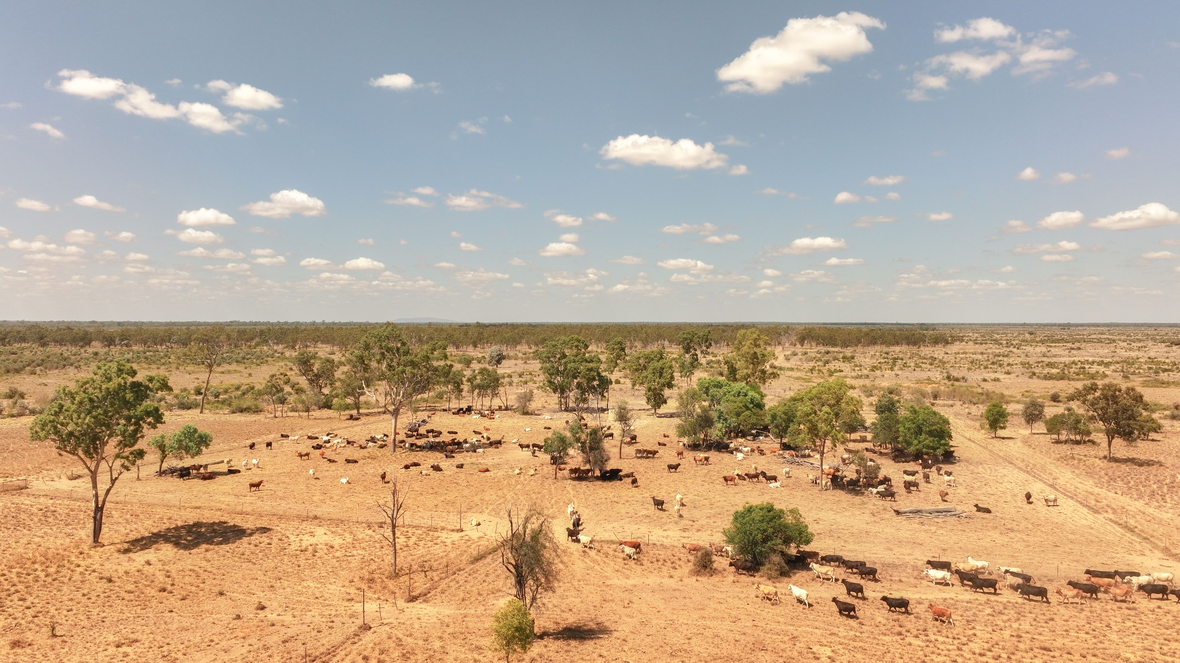 'East Top' Bygana Laglan Road — photo 13 of 18