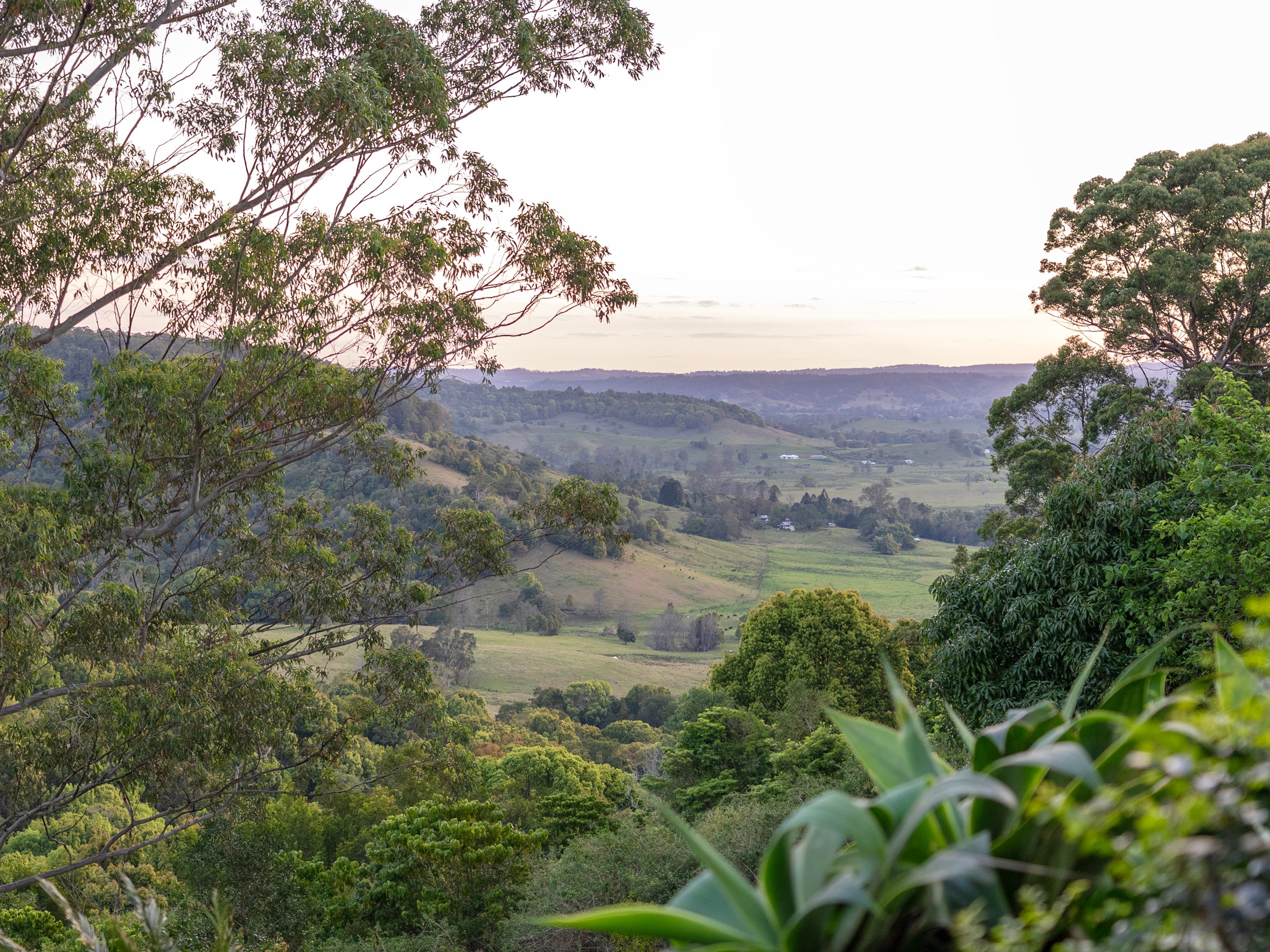 53 Barrys Road, Modanville, NSW 2480