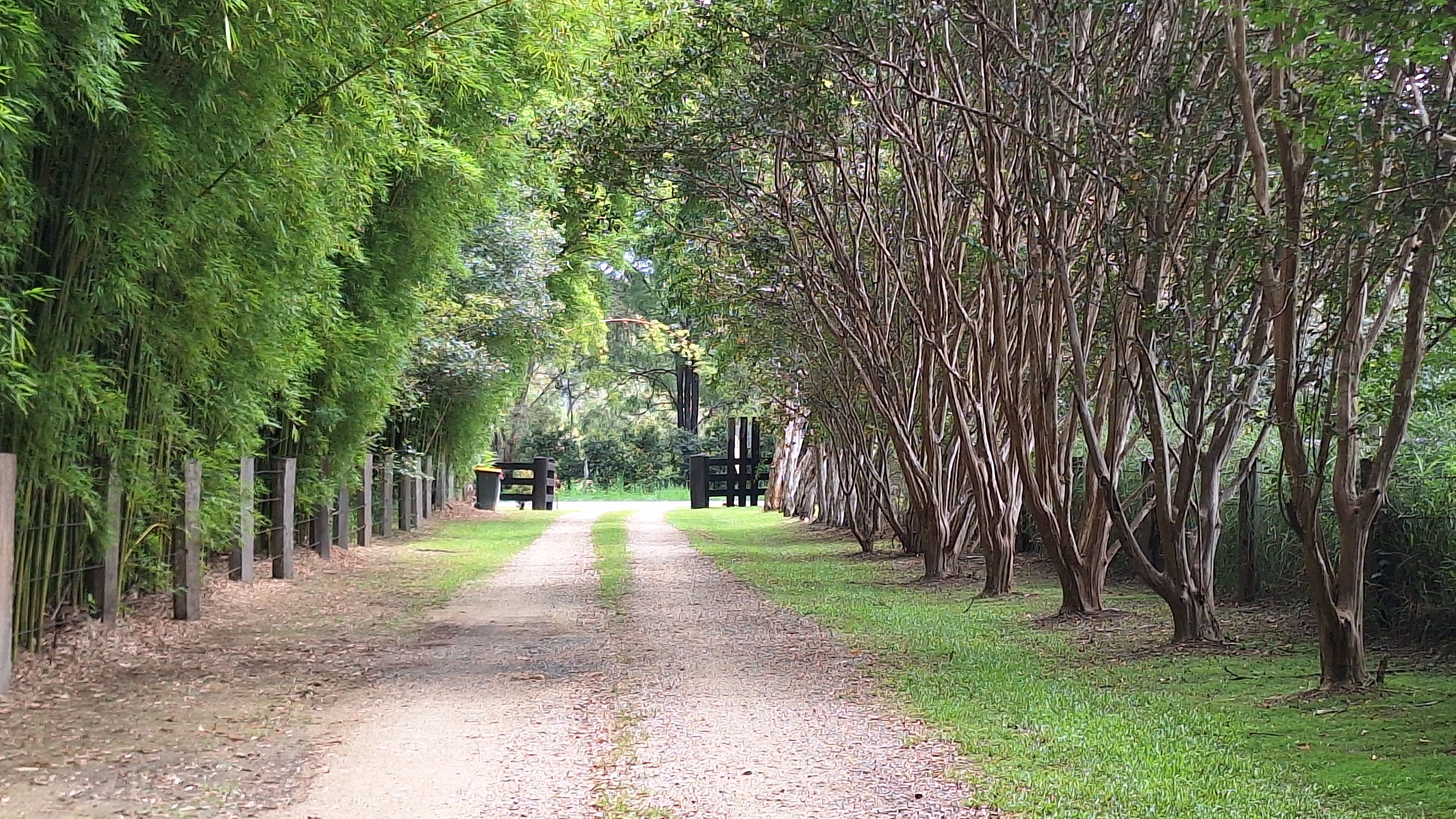 34 Birrigan Close, Nobbys Creek, NSW 2484