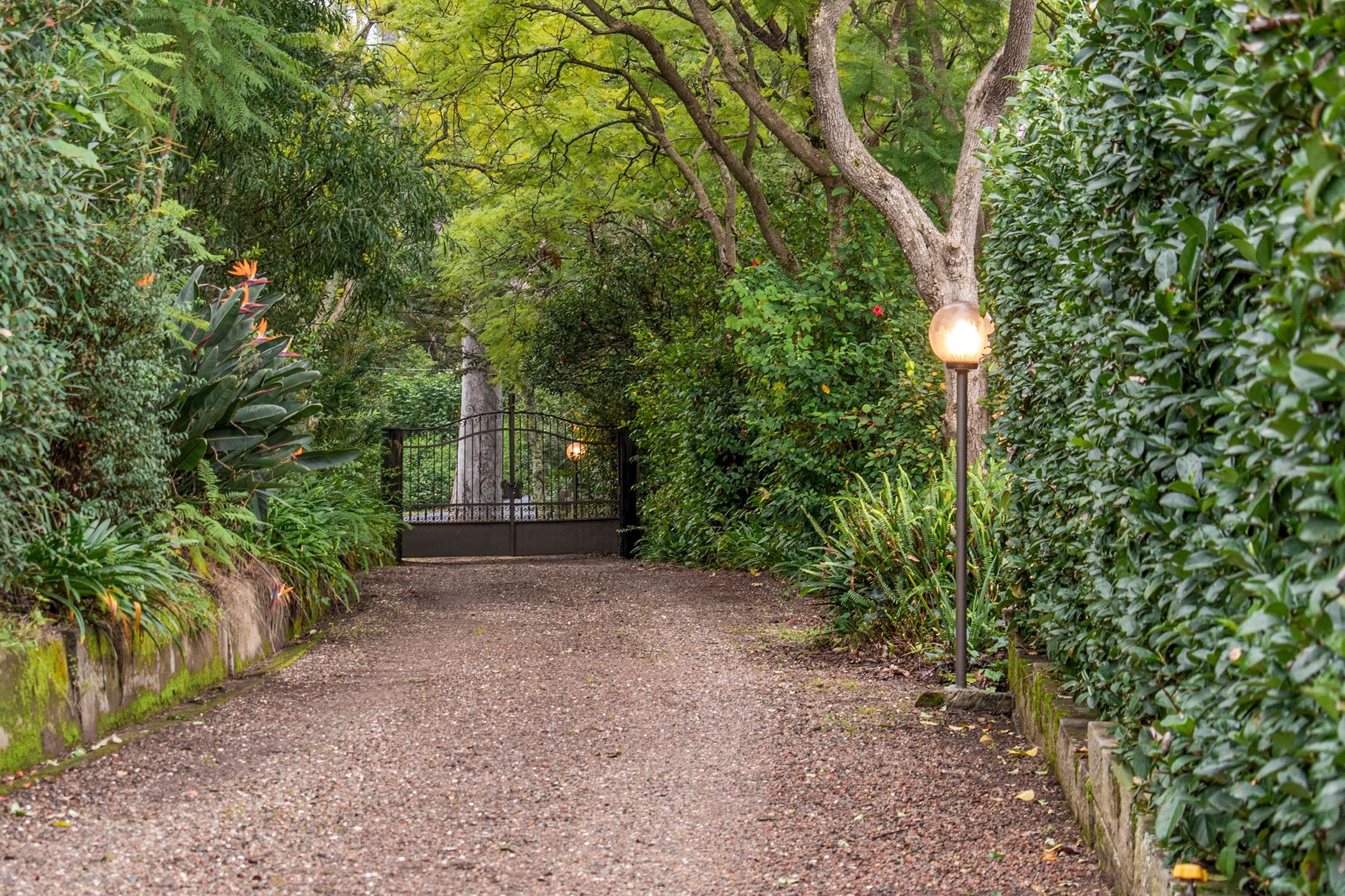 958 Grose Vale Road — photo 5 of 22