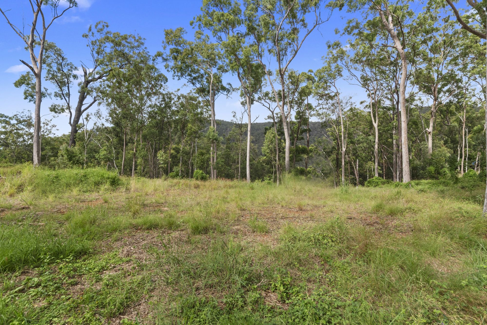 222-224 Morrison Road, Cedar Creek QLD 4520
