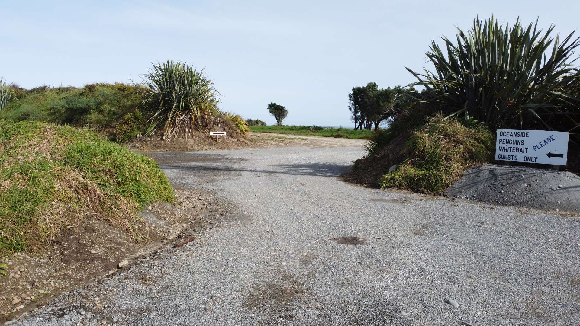 287a Kumara Junction Highway photo 3