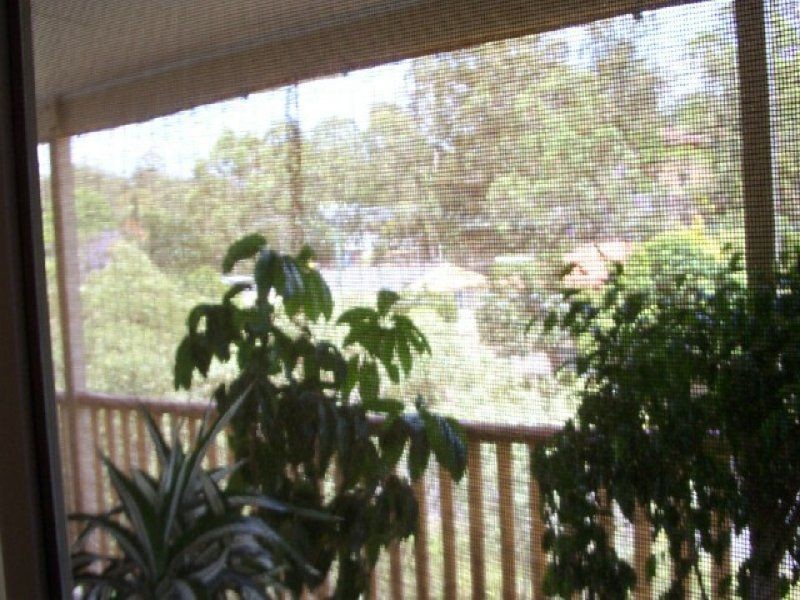 18 Madison Place, Carina, QLD 4152