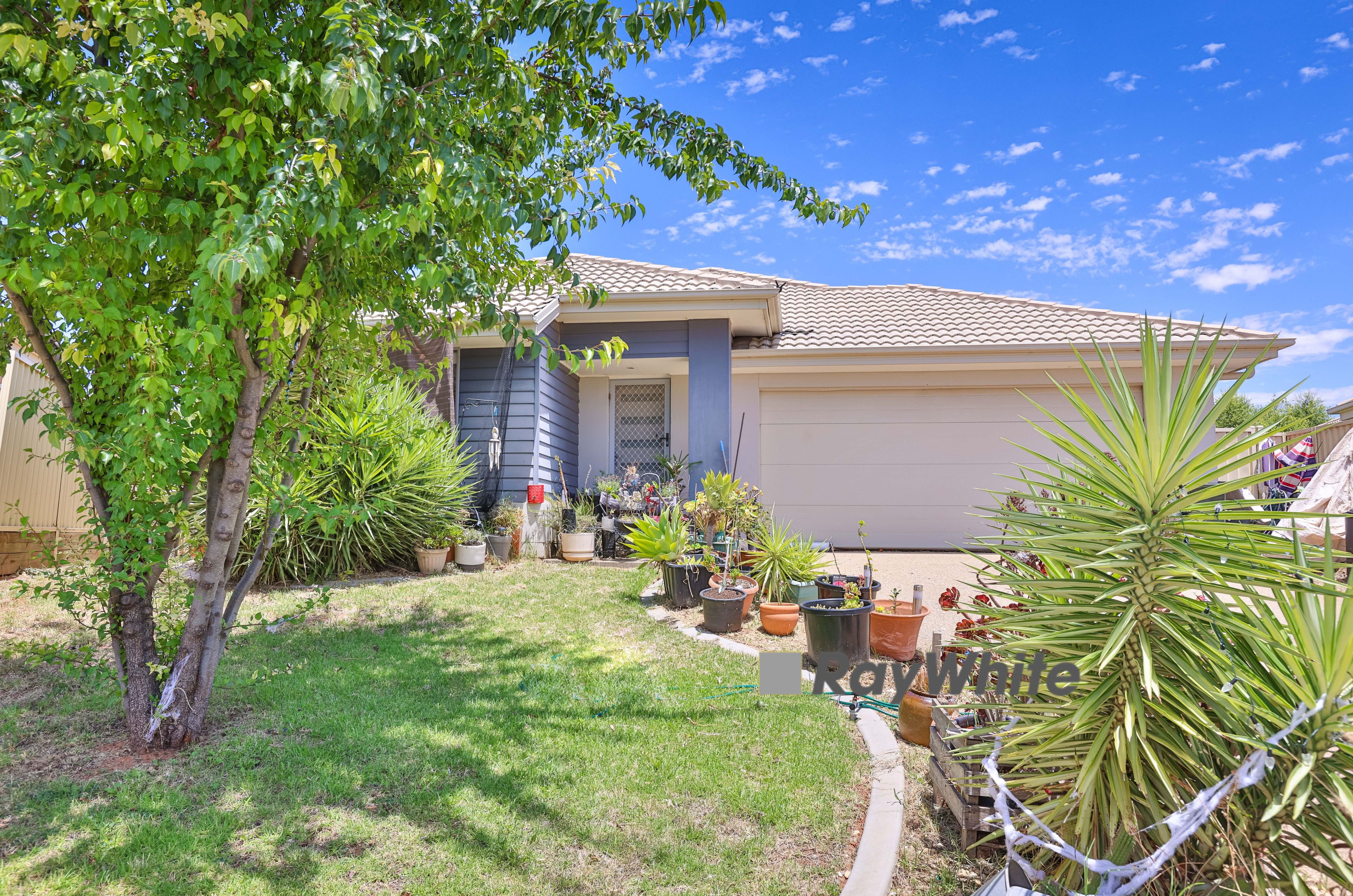3 Jewel Court, Mildura, VIC 3500 Sold House Ray White Mildura