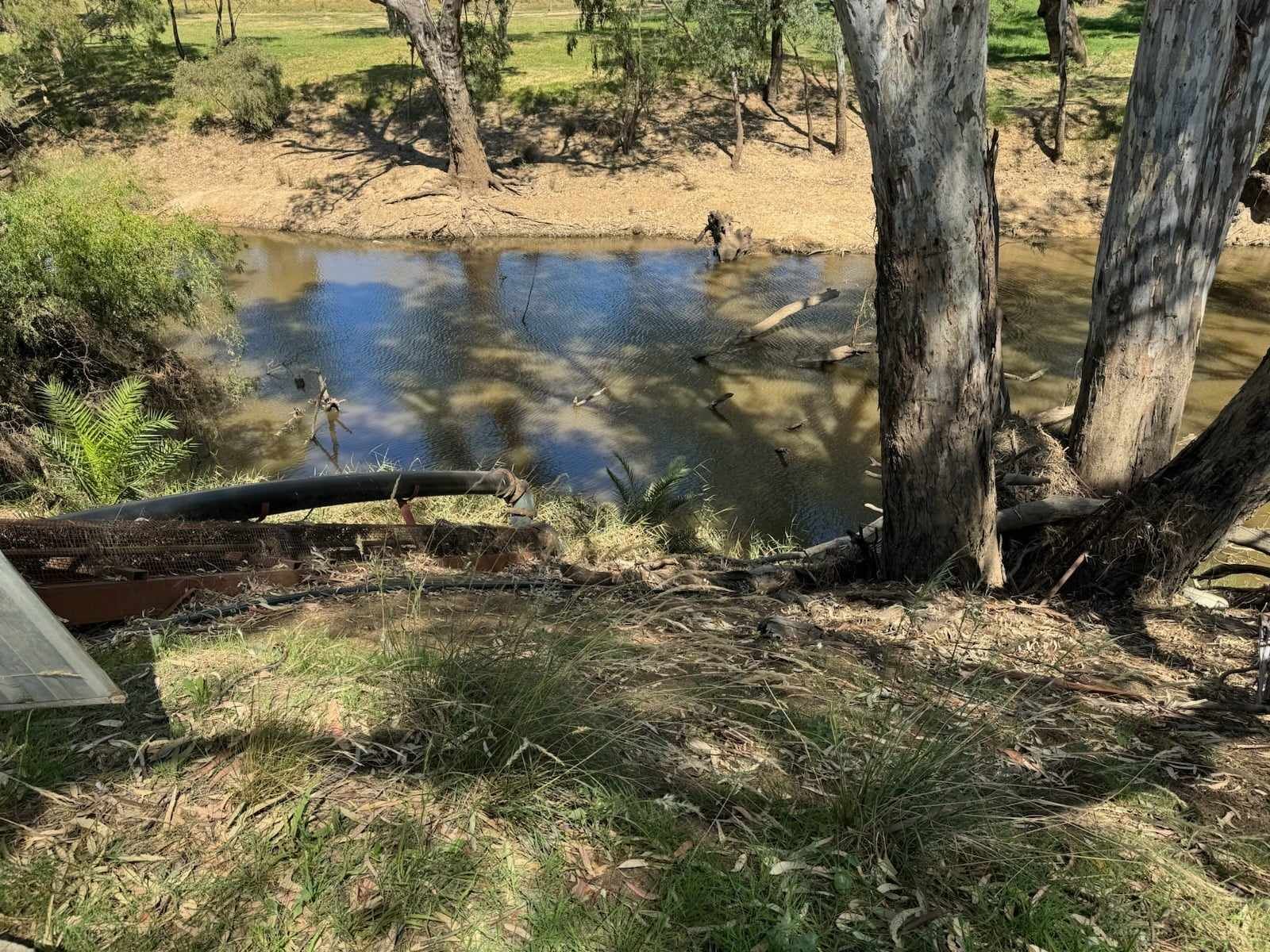 Rochester, VIC 3561 Rural Mixed Farming Property for Sale Ray White