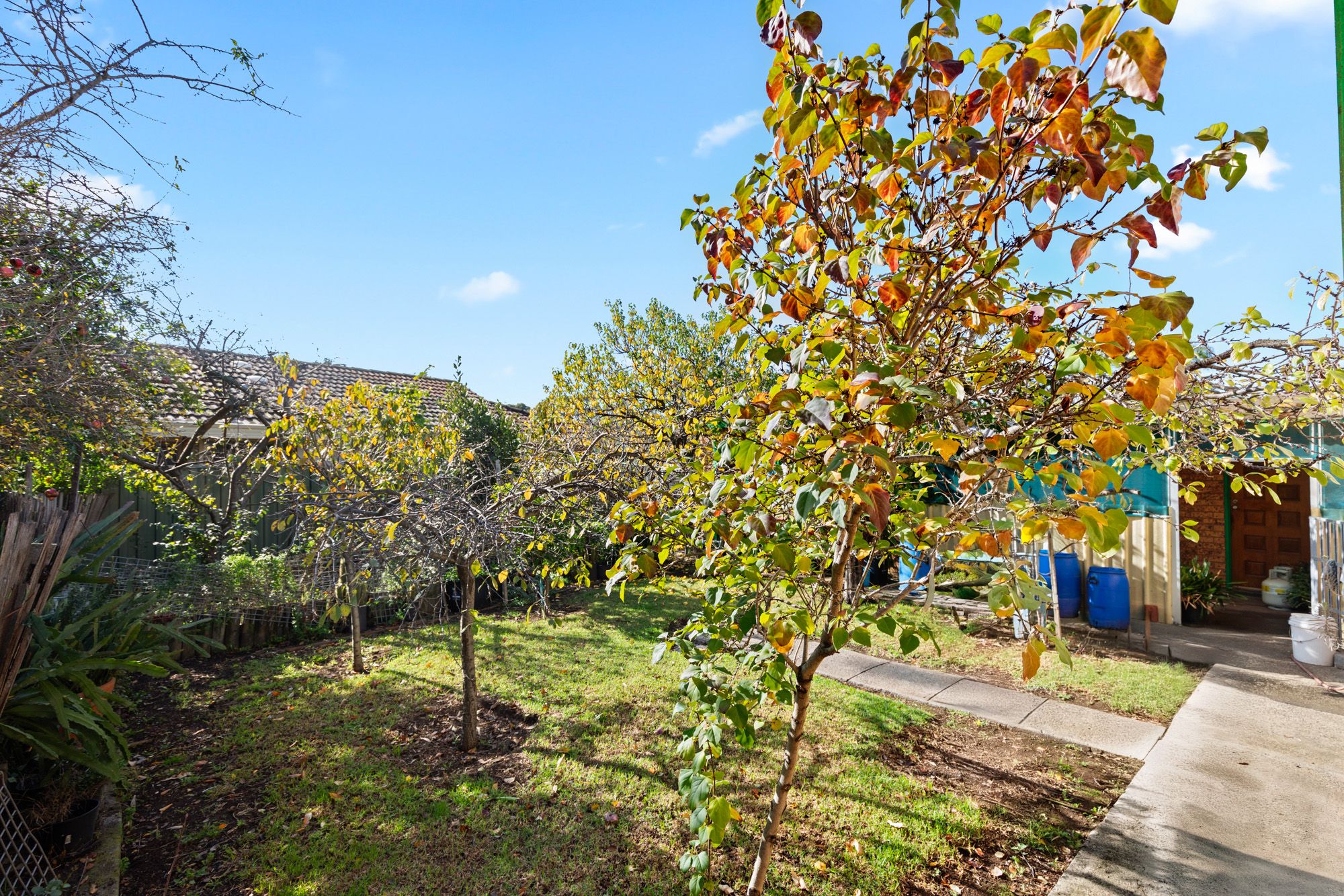 18 Winslow Crescent — photo 12 of 17