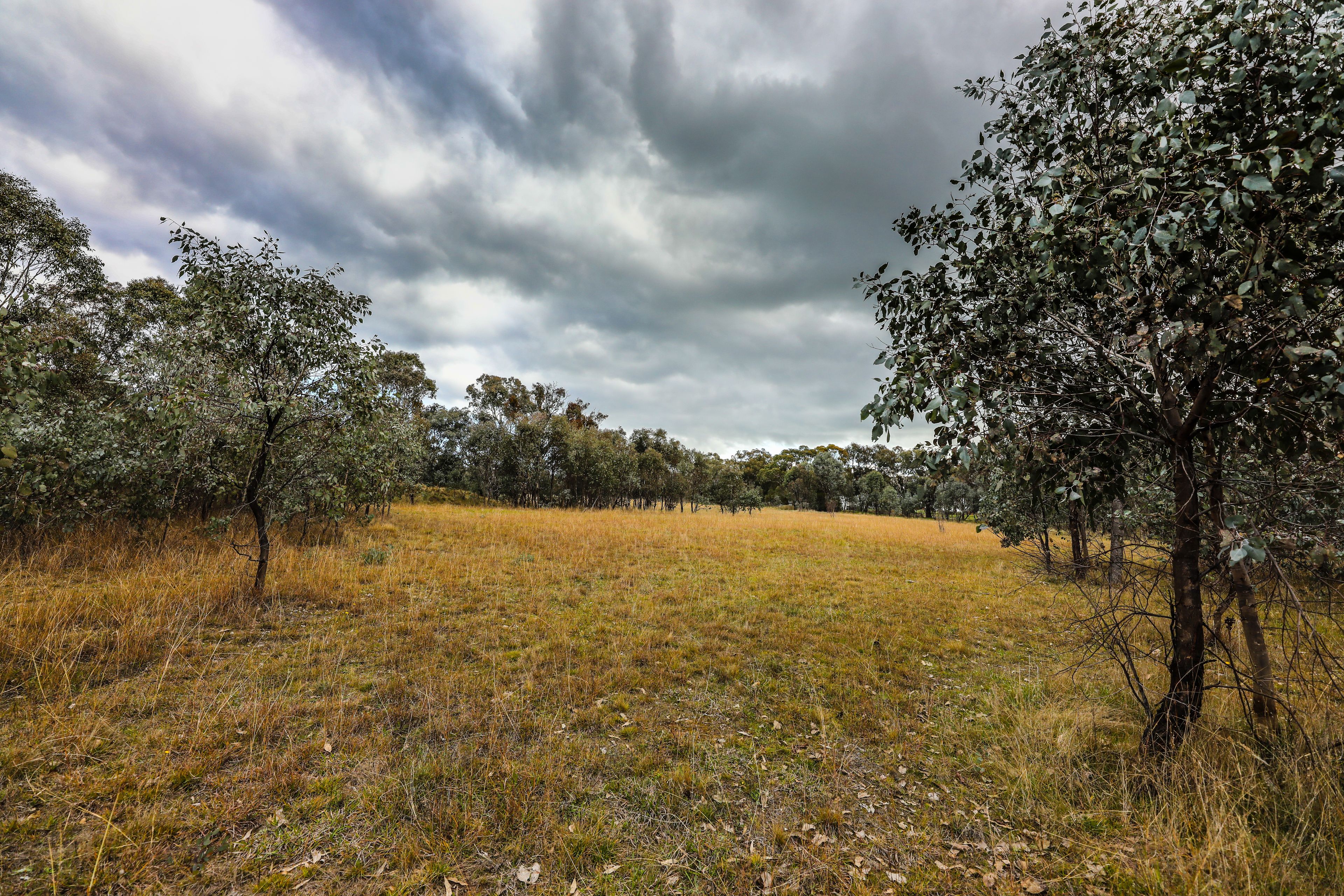 Lot 7779, 111 Prescot Street, Lyndhurst, NSW 2797 Sold Land Ray