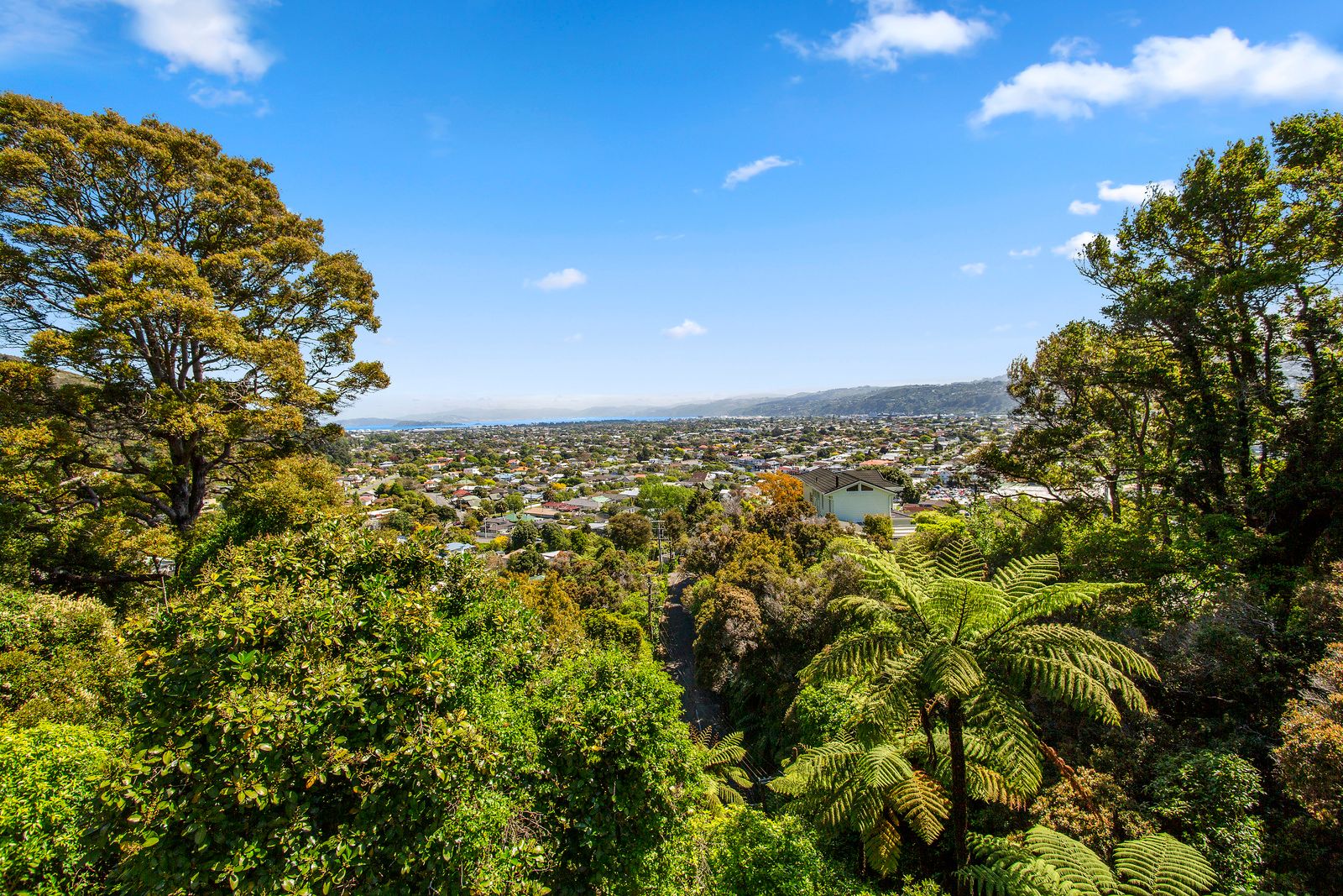 26 Woodvale Grove, Fairfield, Lower Hutt City