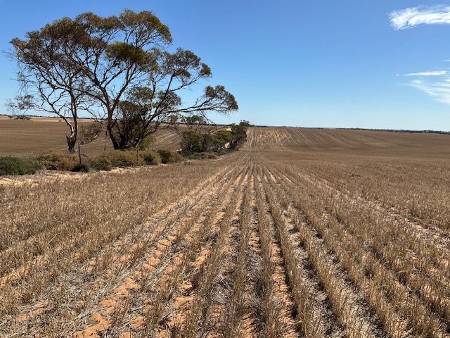 Lot 2/654 Upper Yorke Road, Port Broughton, SA 5522