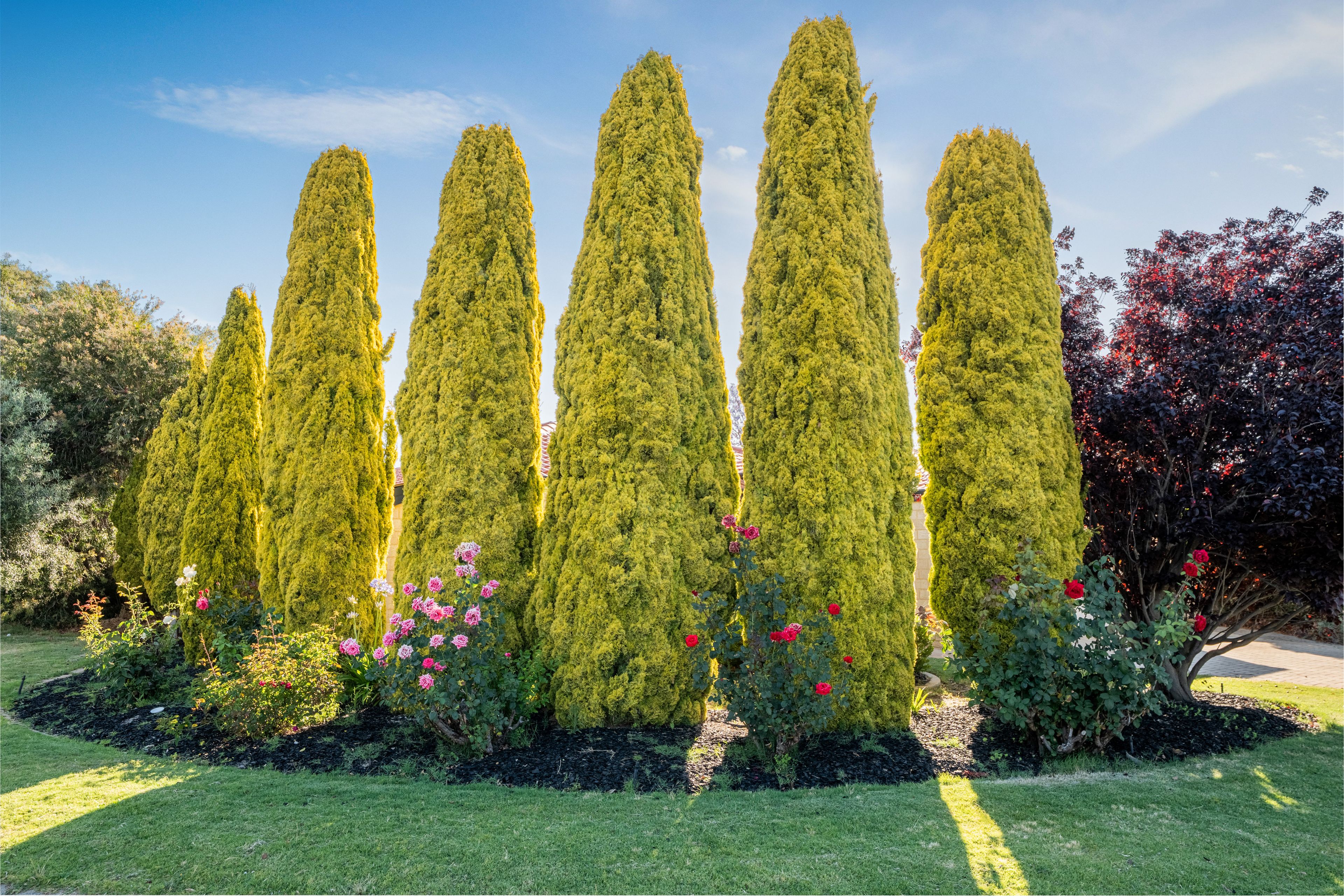 166 Ponte Vecchio Boulevard, Ellenbrook, WA 6069