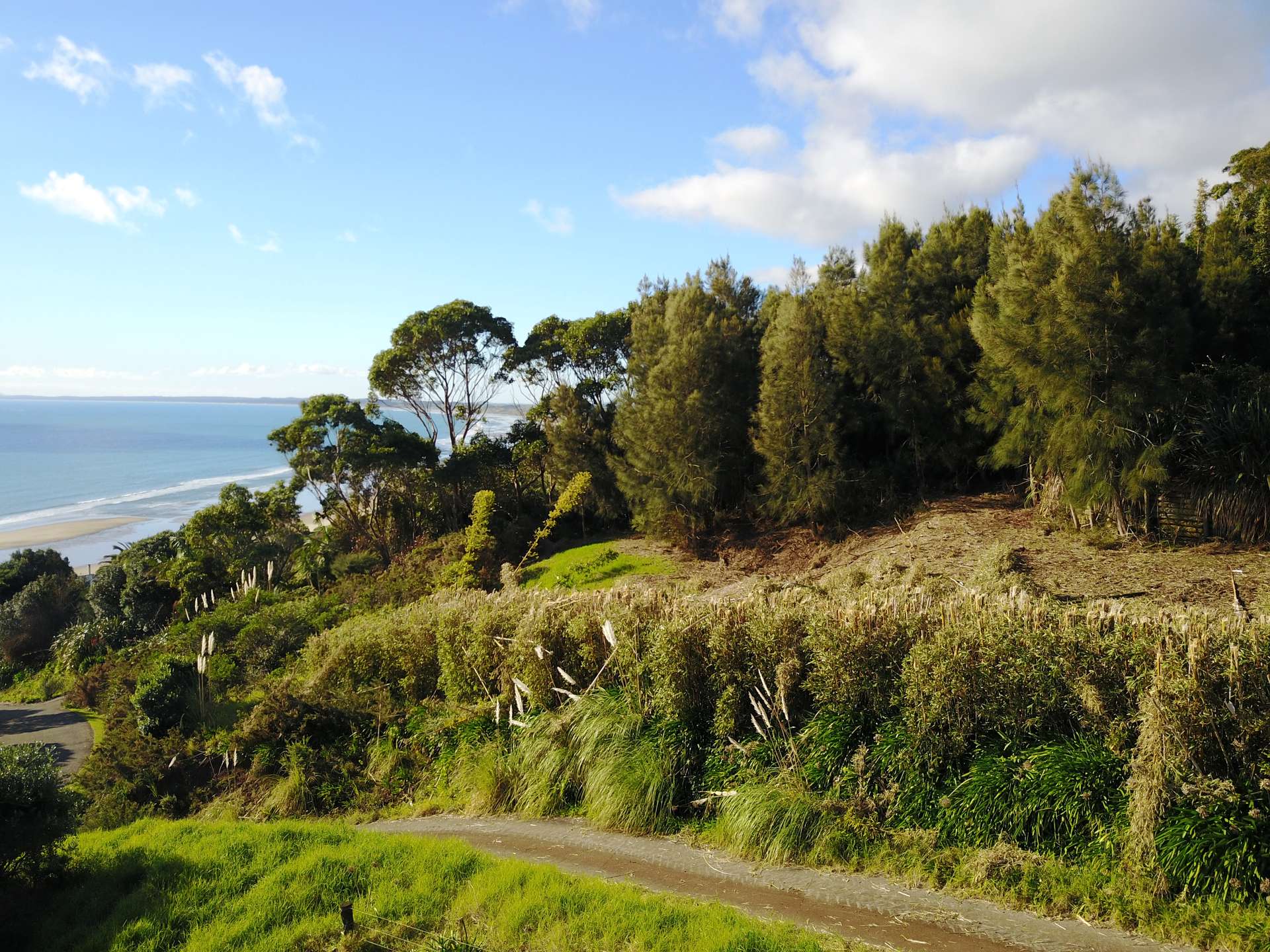 37 Tasman Heights photo 4