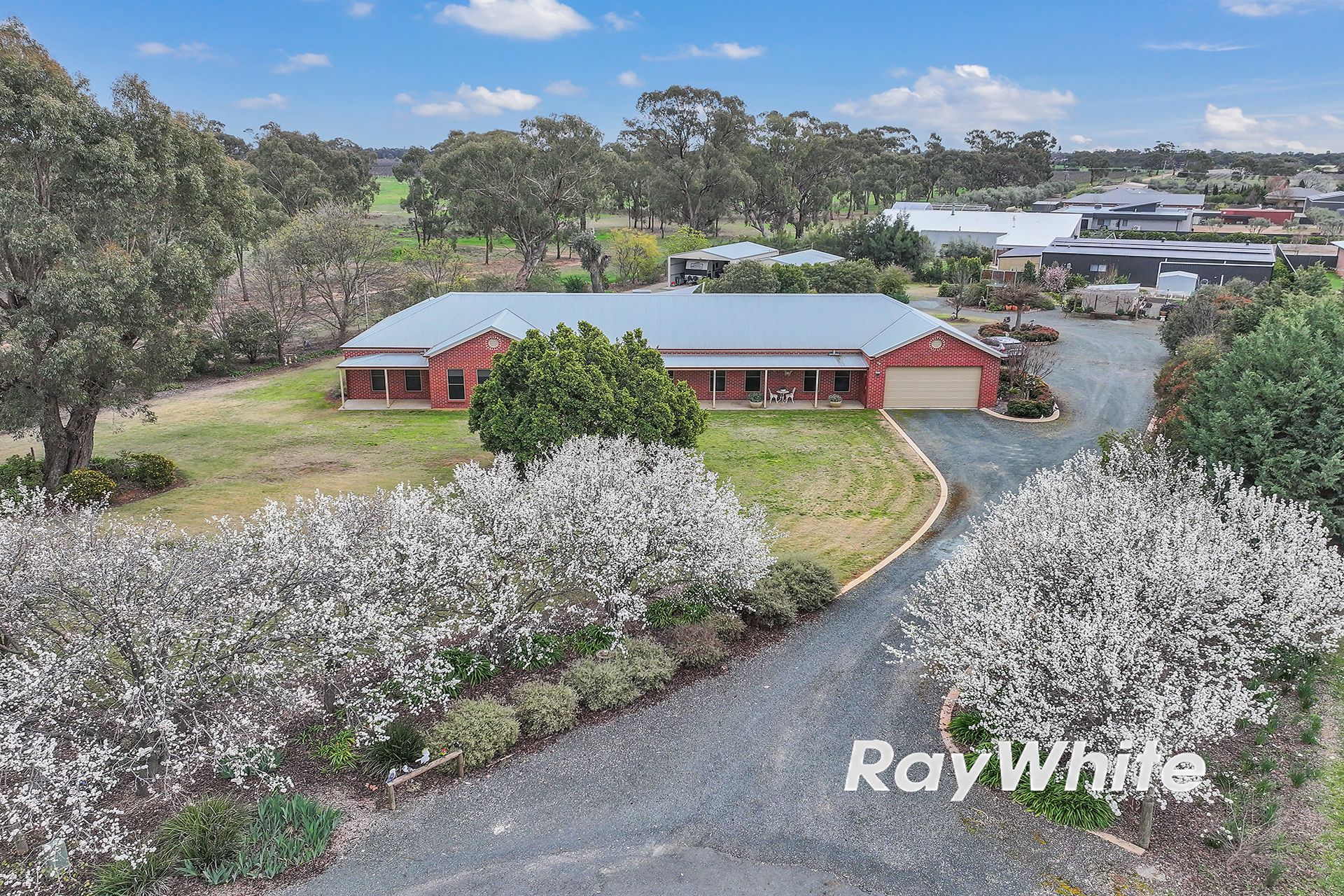 19 Hollara Drive, Moama, NSW 2731