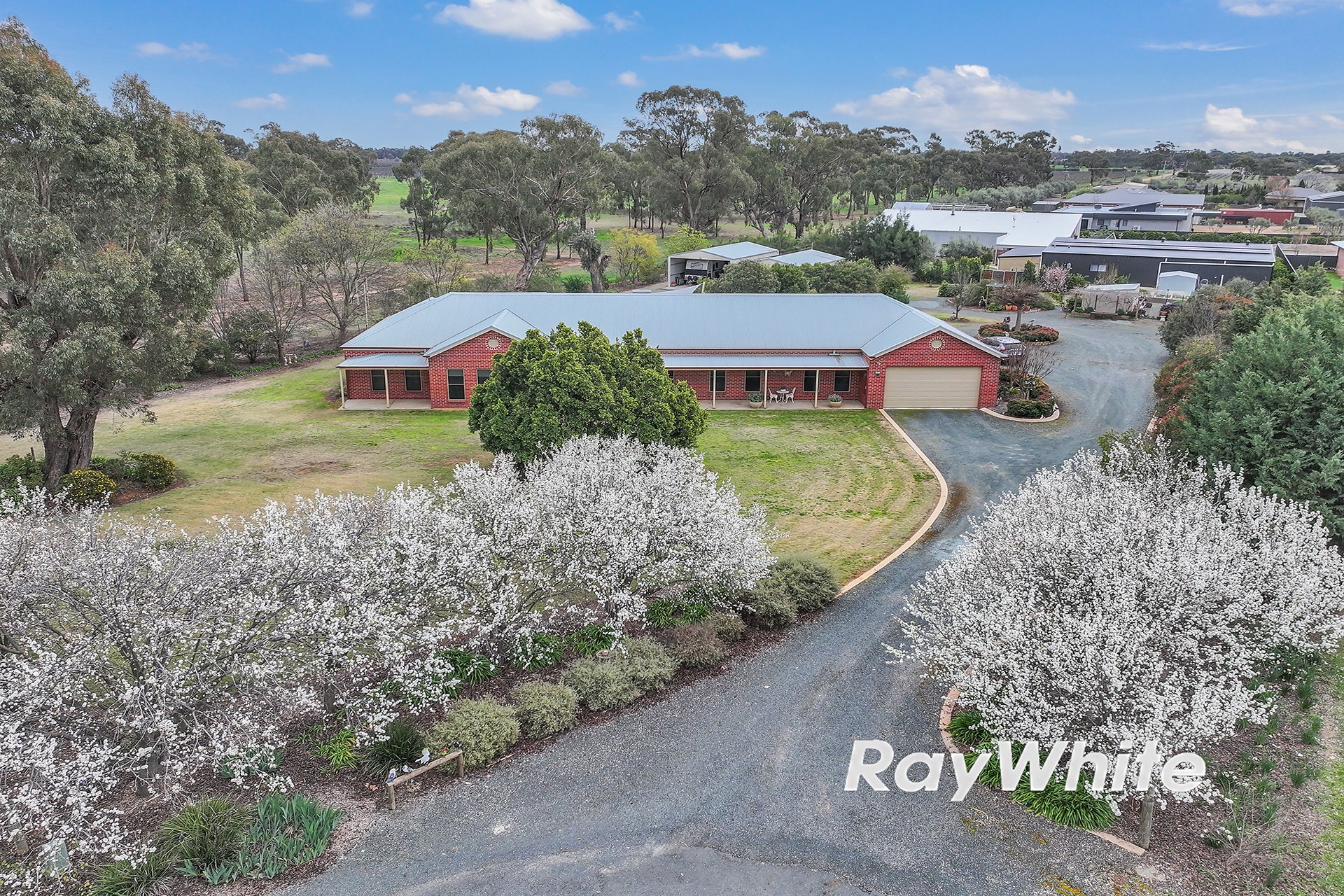 19 Hollara Drive, Moama, NSW 2731
