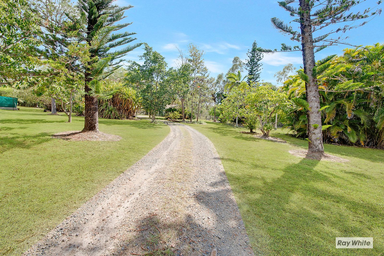 393 Tanby Road, Taroomball QLD 4703
