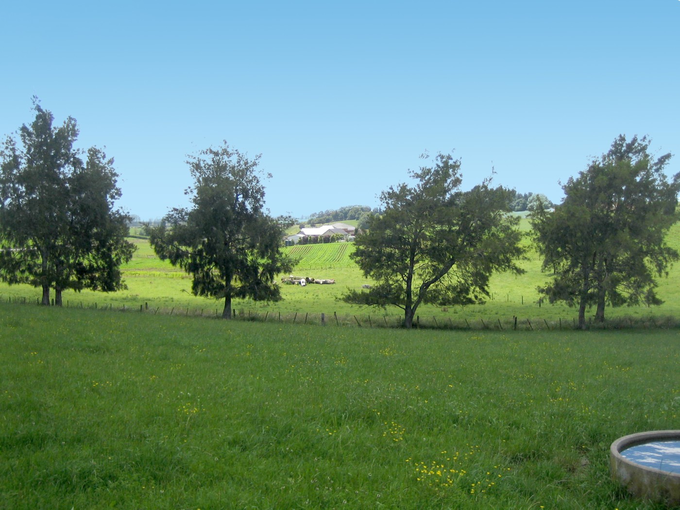 1350 Kakaramea Road, Ngahinapouri, Waipa District