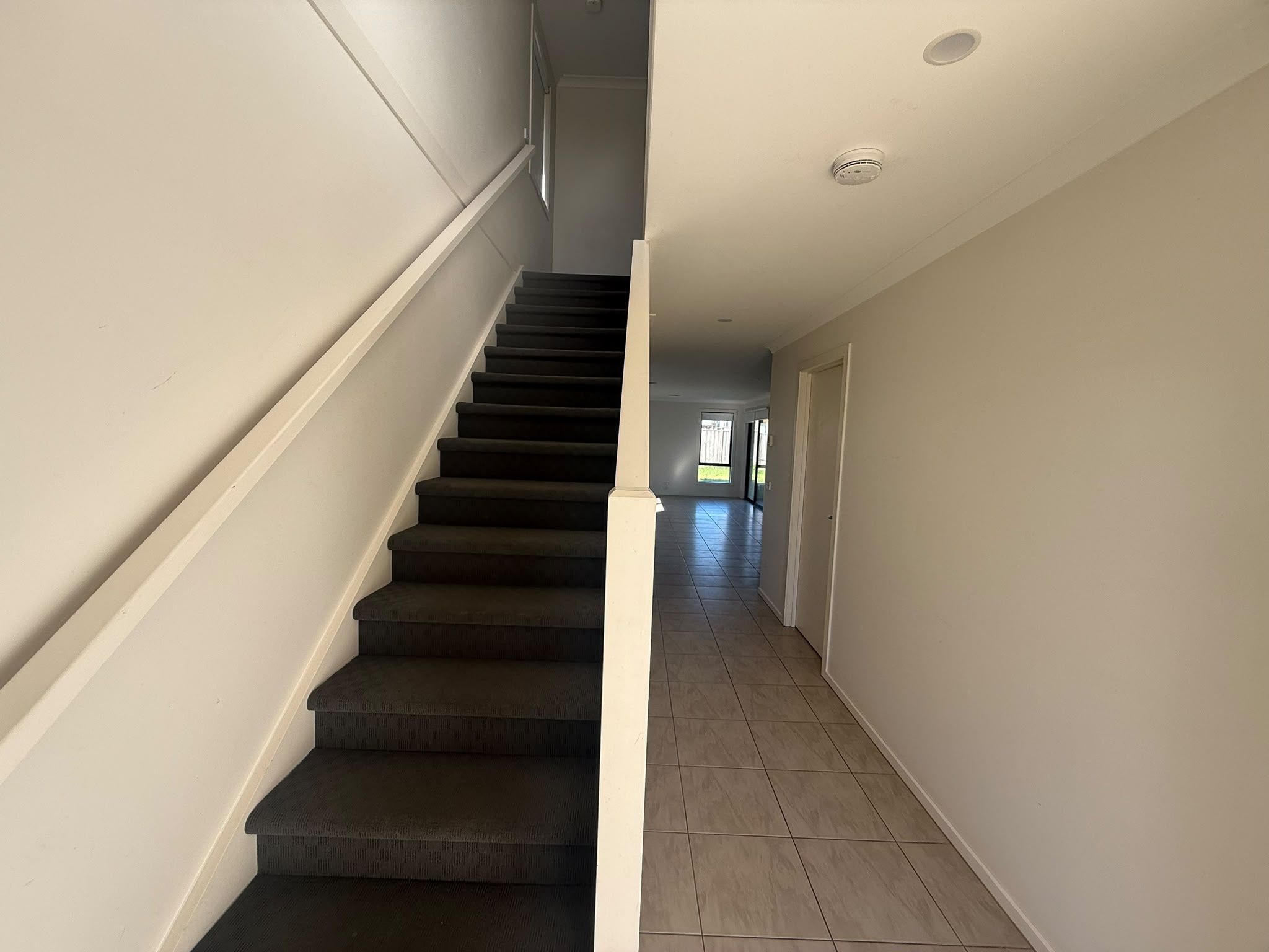12 Arnott Street — photo 7 of 13
