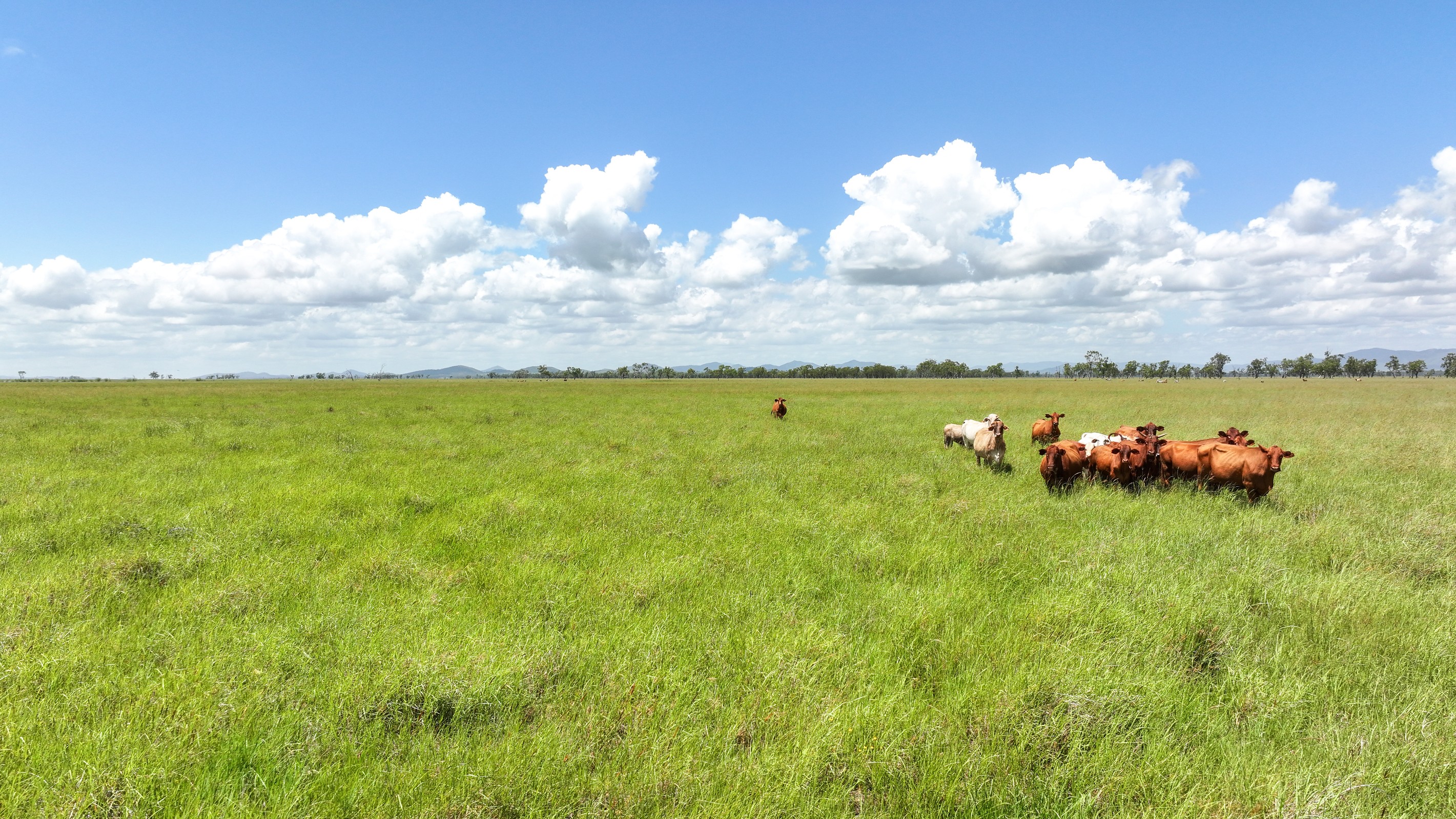 Casuarina Road, Midgee, QLD 4702