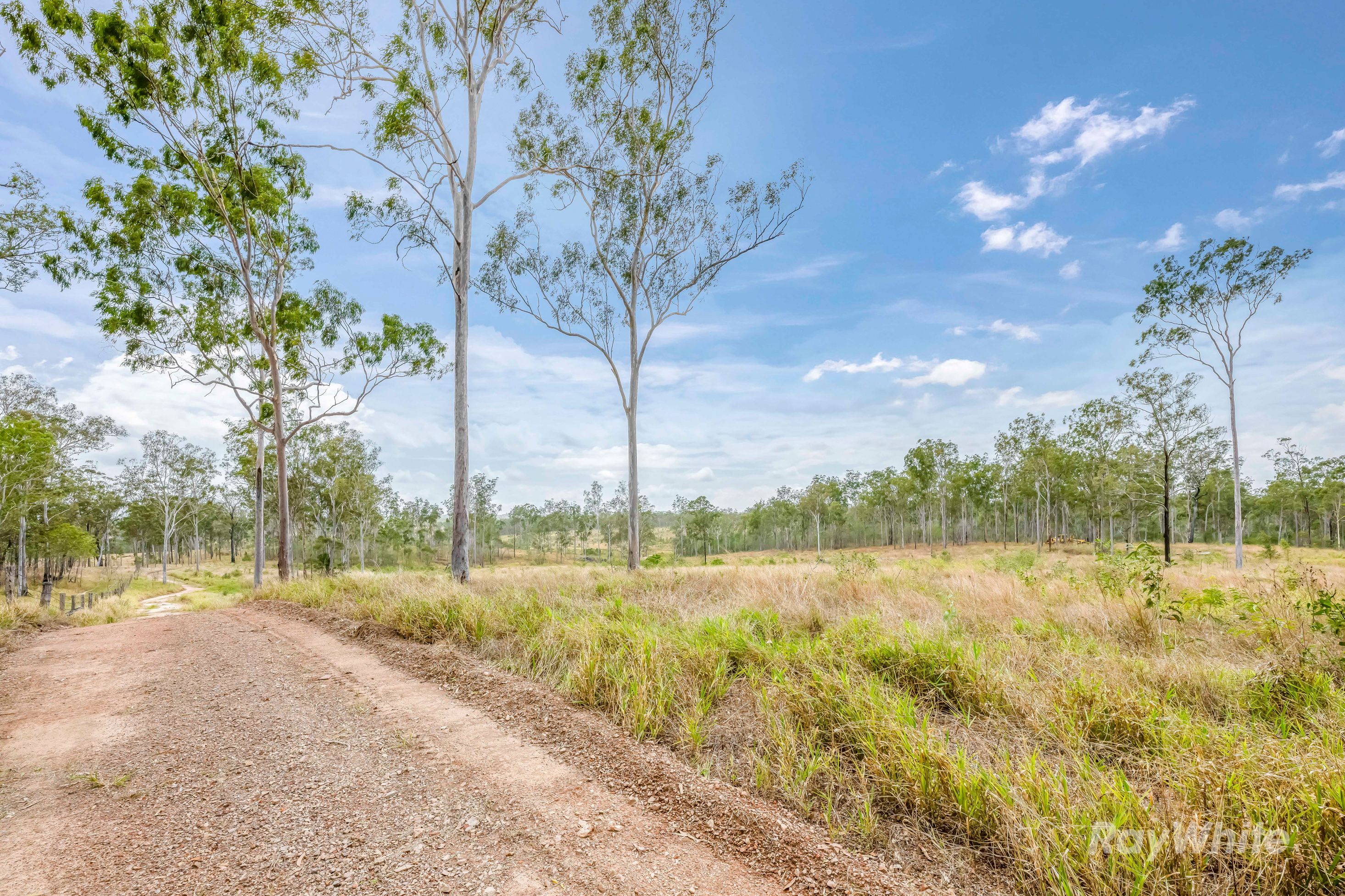 Lot 43 Moolyung Road — photo 8 of 29