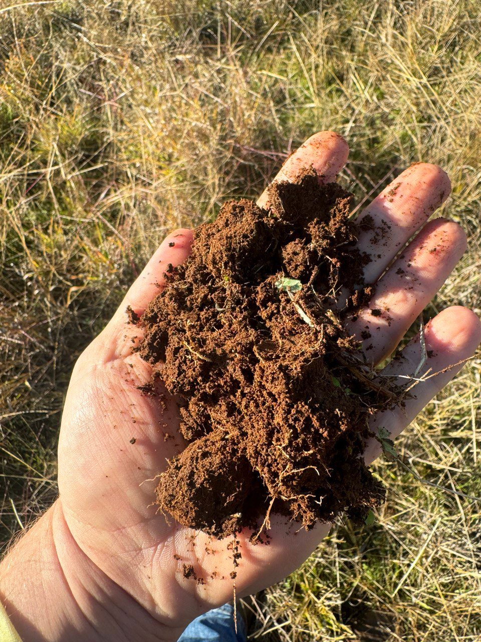 Part "Quamby" 605 Mccaskies Lane, Girral, NSW 2669