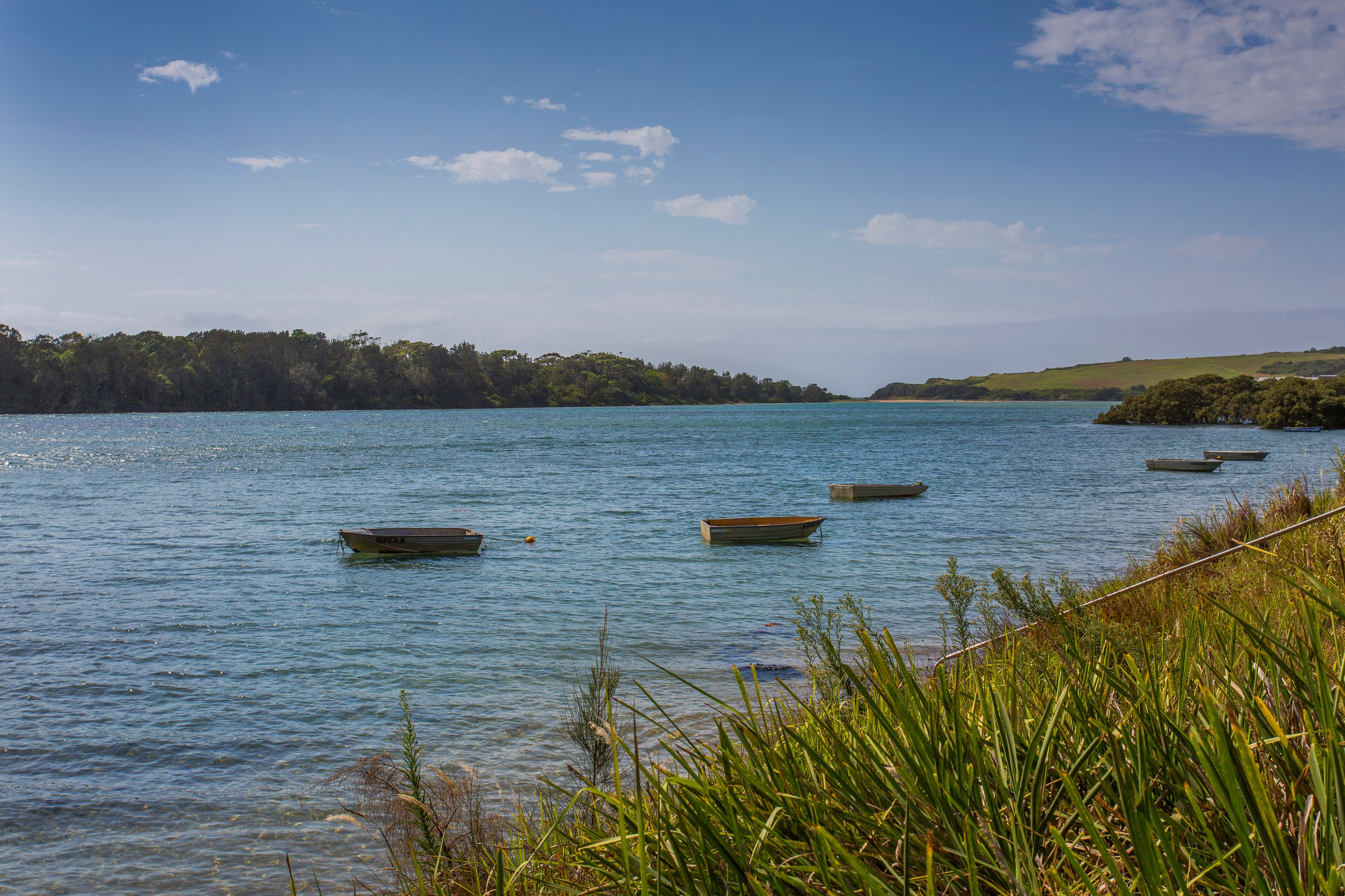 50 Charles Avenue, Minnamurra, NSW 2533