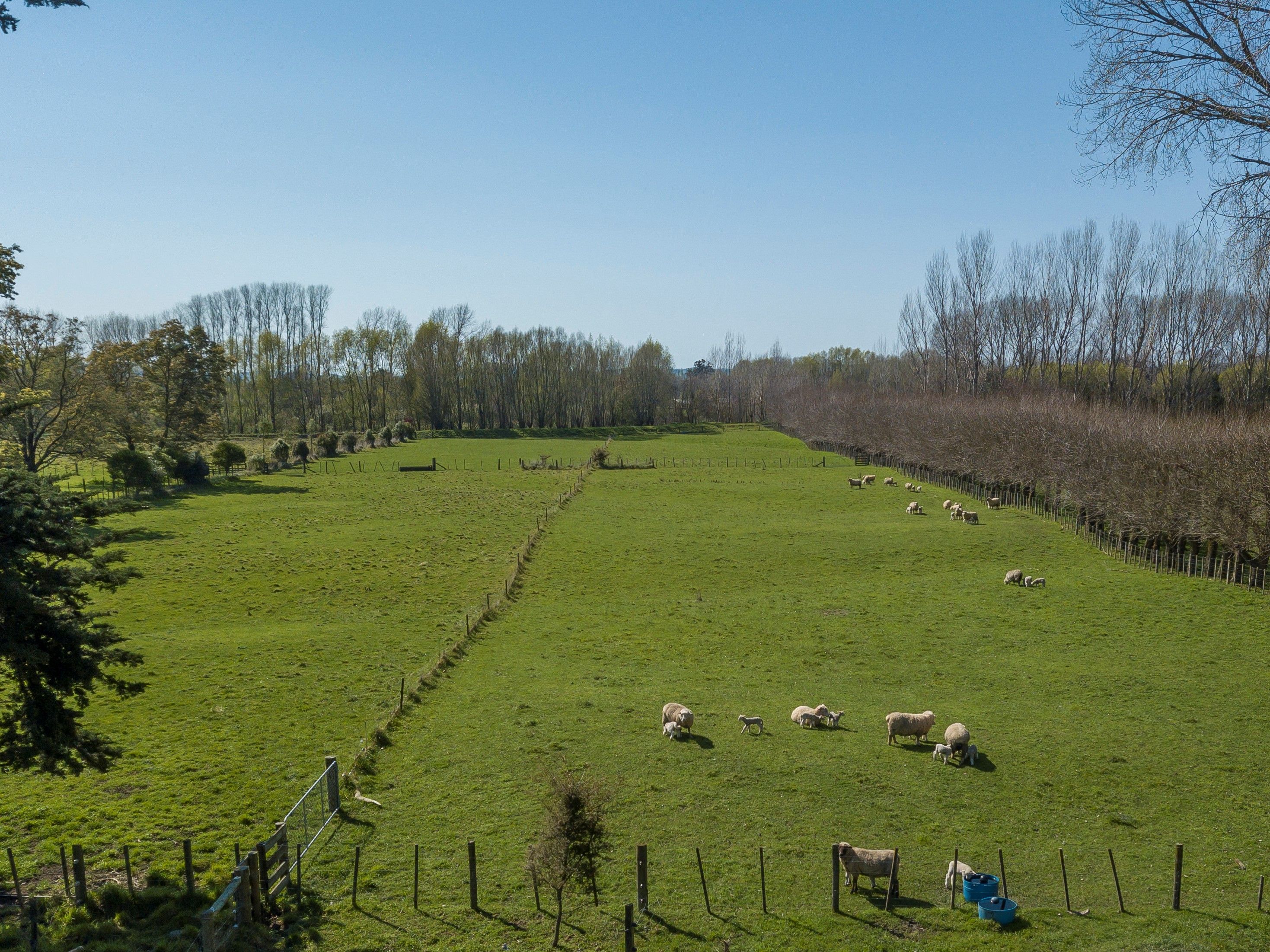 11 Pokohiwi Road, Masterton, Masterton District